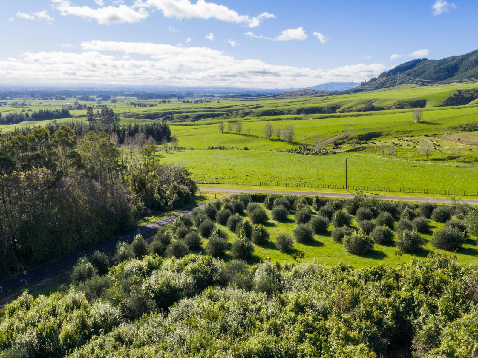 328 Millricks Line, Linton