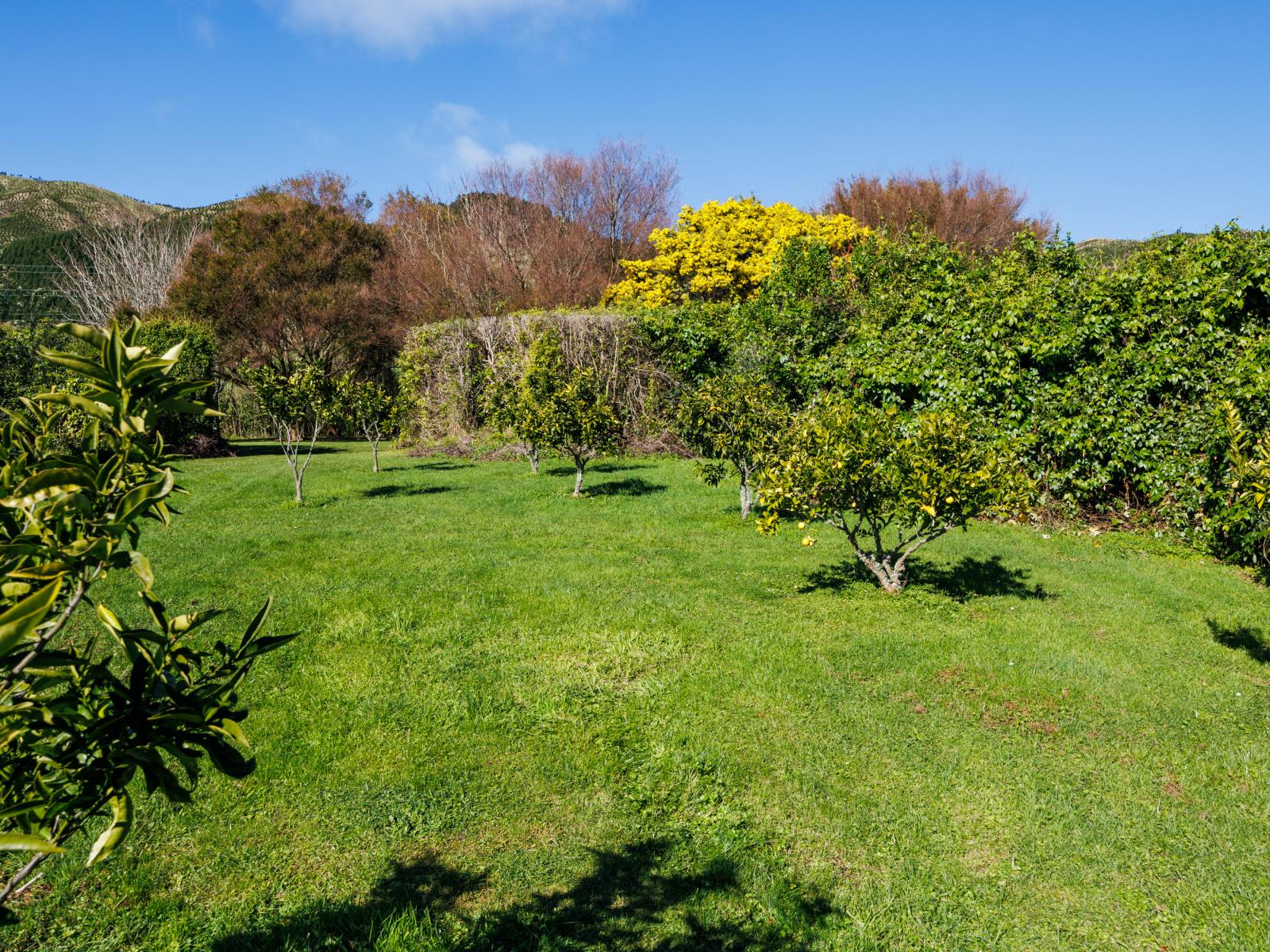 328 Millricks Line, Linton
