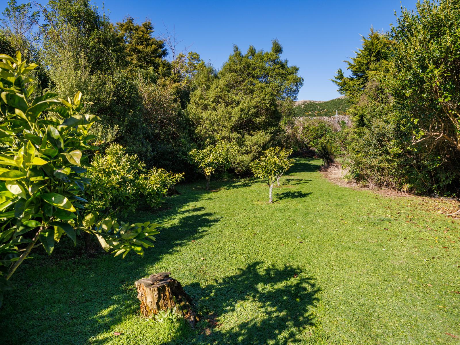 328 Millricks Line, Linton