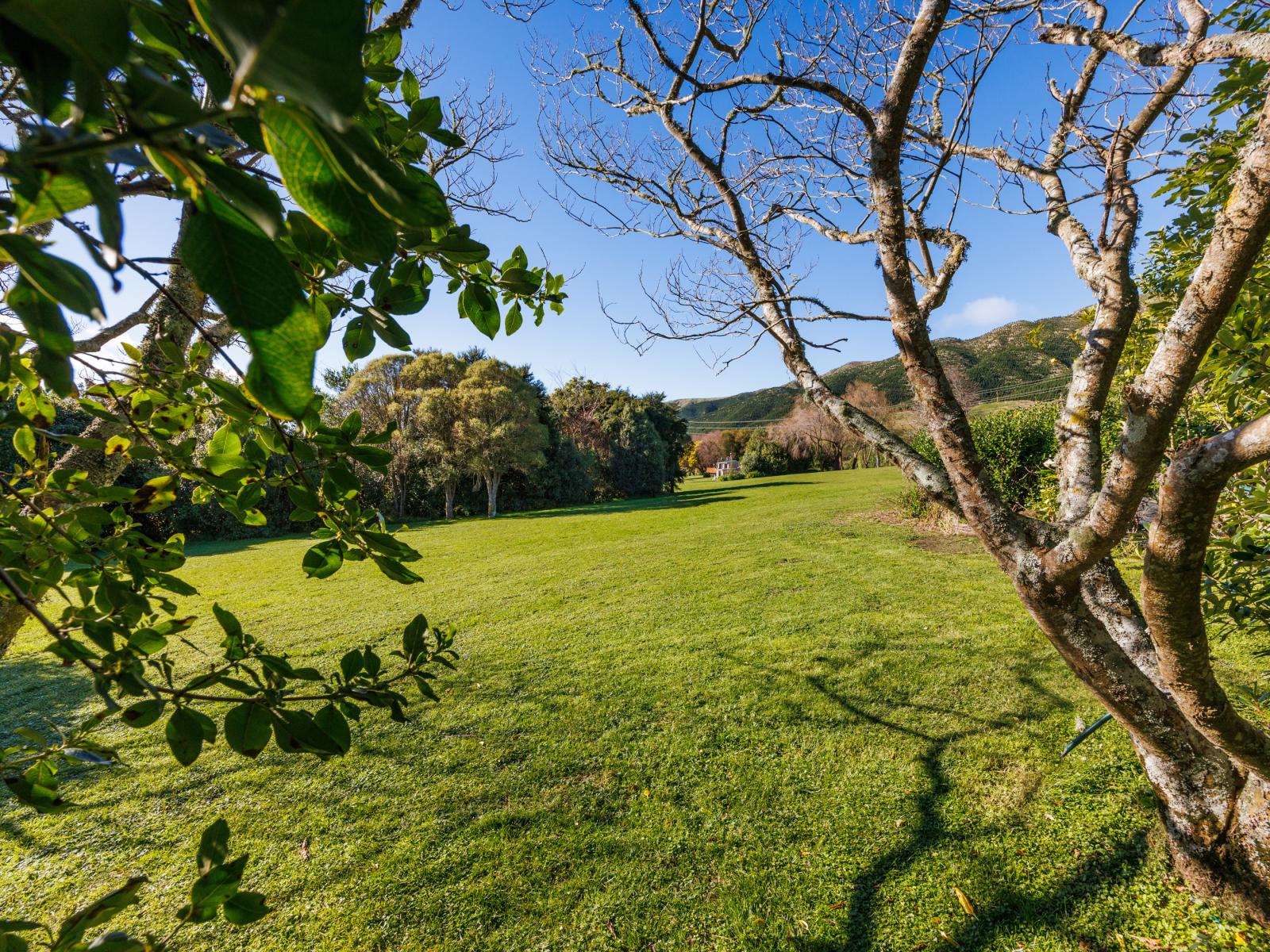 328 Millricks Line, Linton