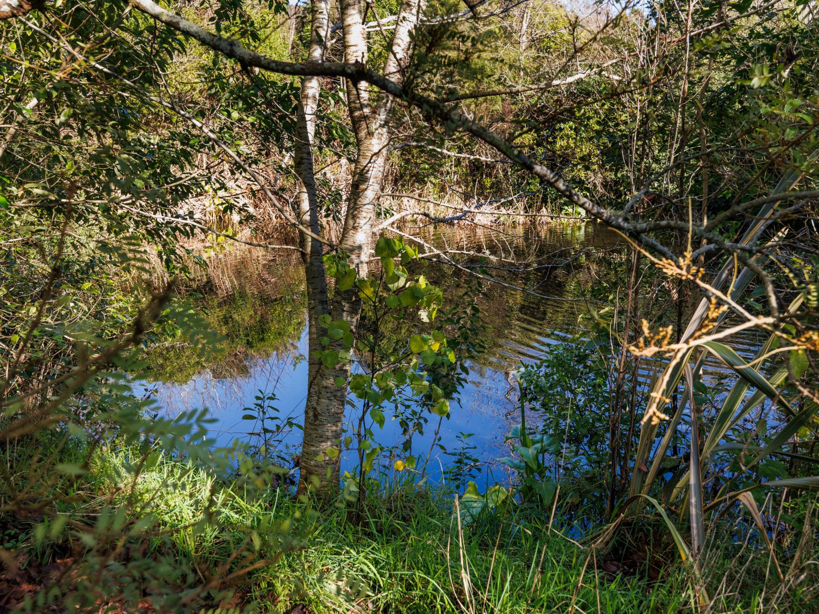 328 Millricks Line, Linton