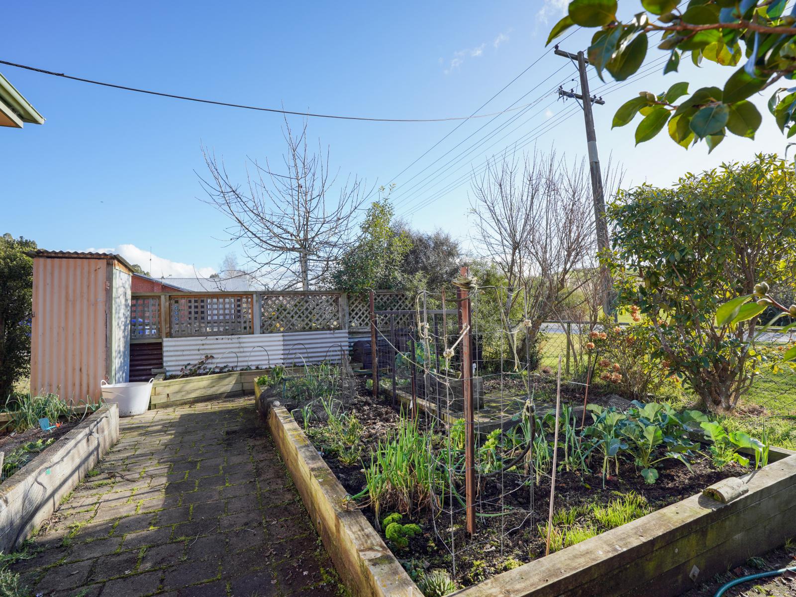 52 Level Street, Dipton