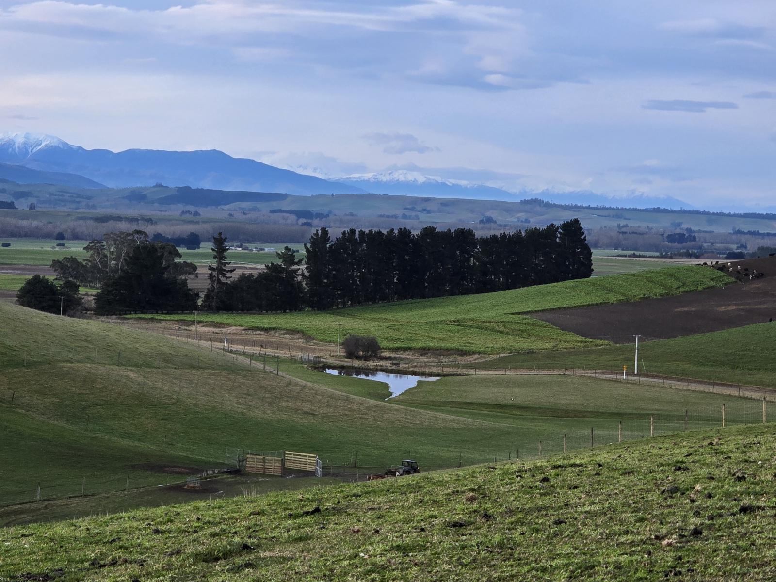 74 Esler Road, Pleasant Point