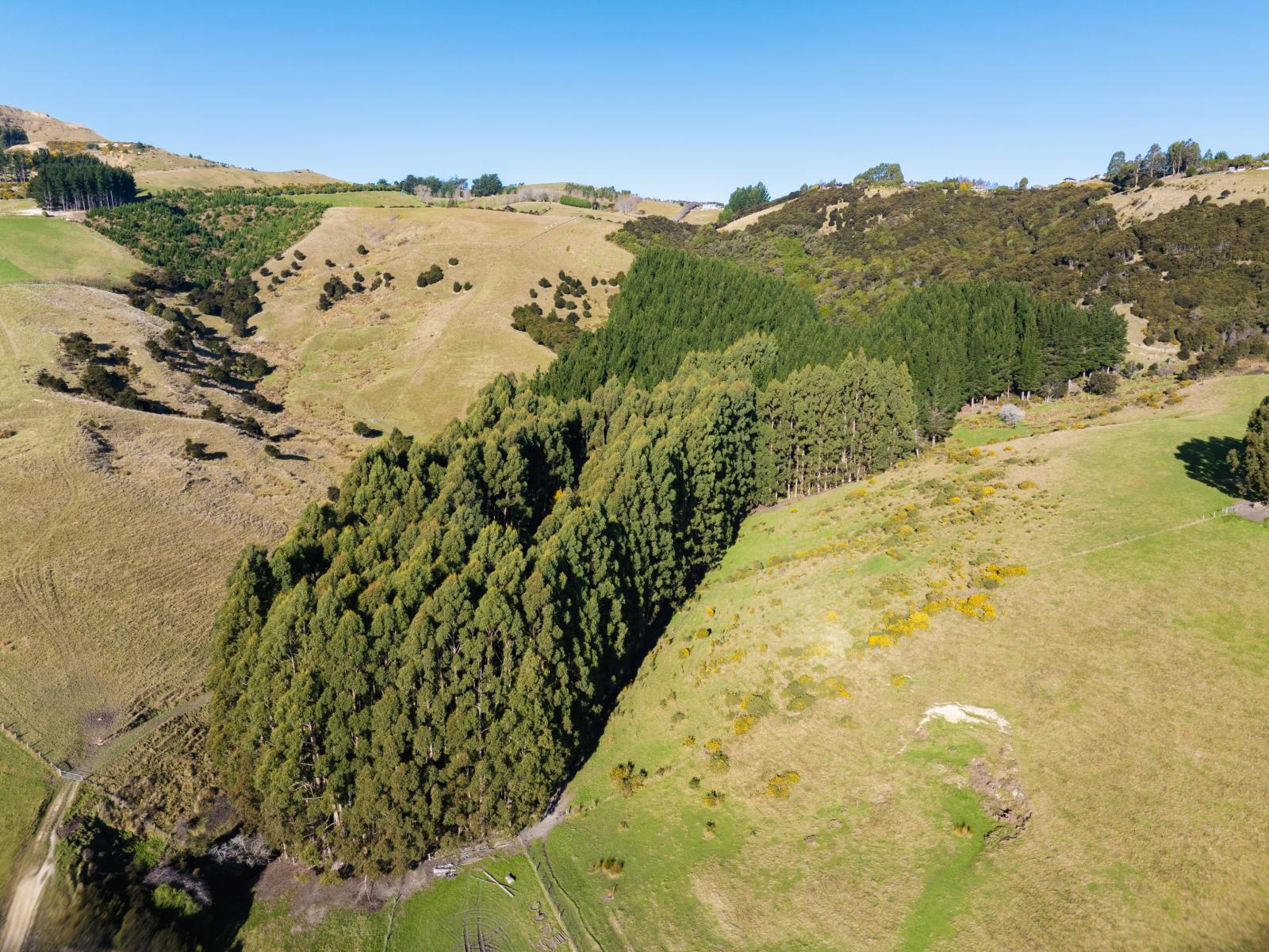 245 Main South Road, East Taieri, Mosgiel