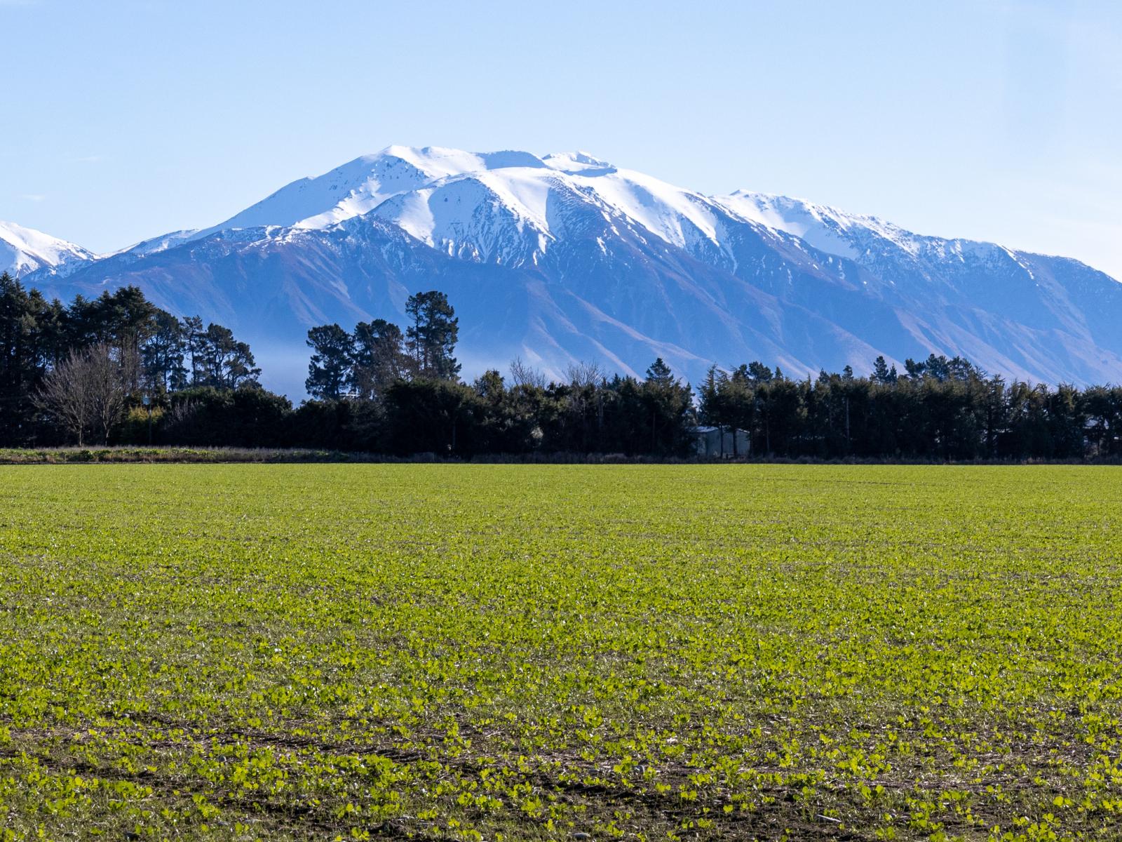 363 Methven Chertsey Road, Methven
