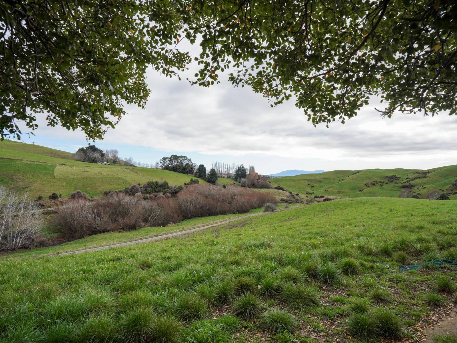 40 Whyte Road, Happy Valley
