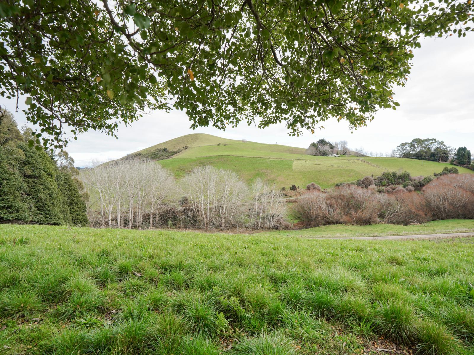 40 Whyte Road, Happy Valley