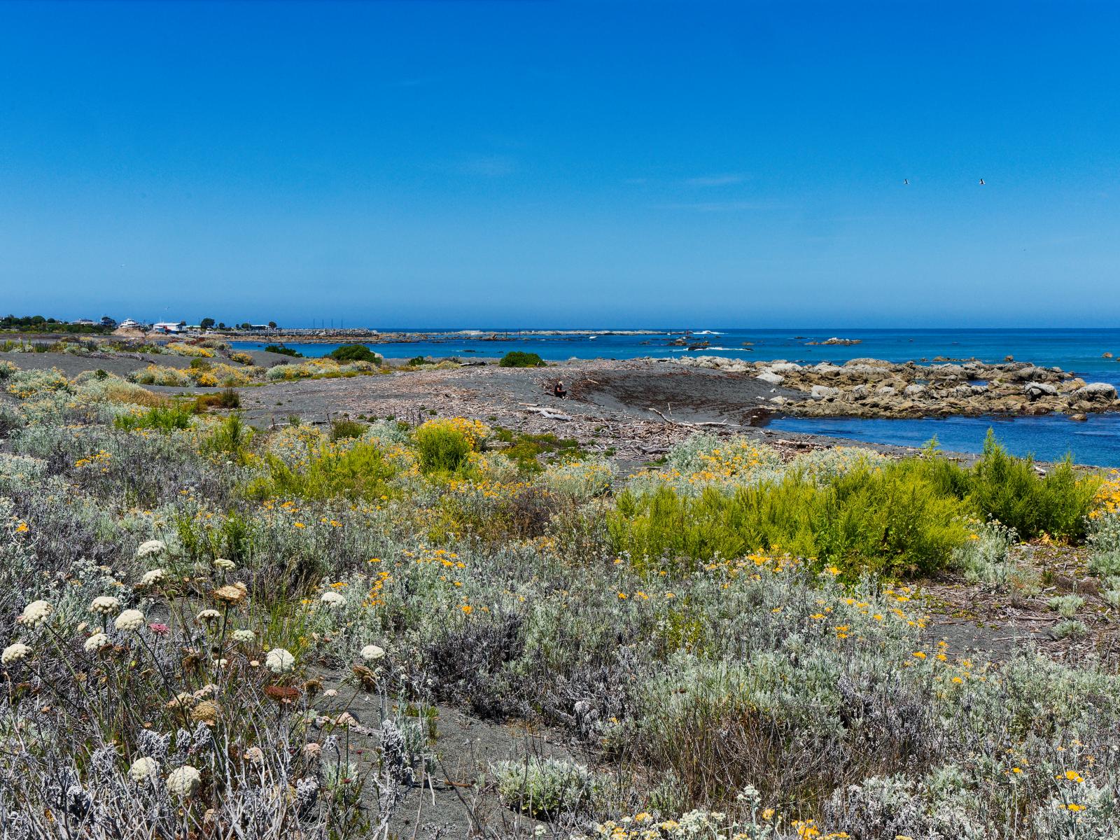19 South Bay Parade, Kaikoura