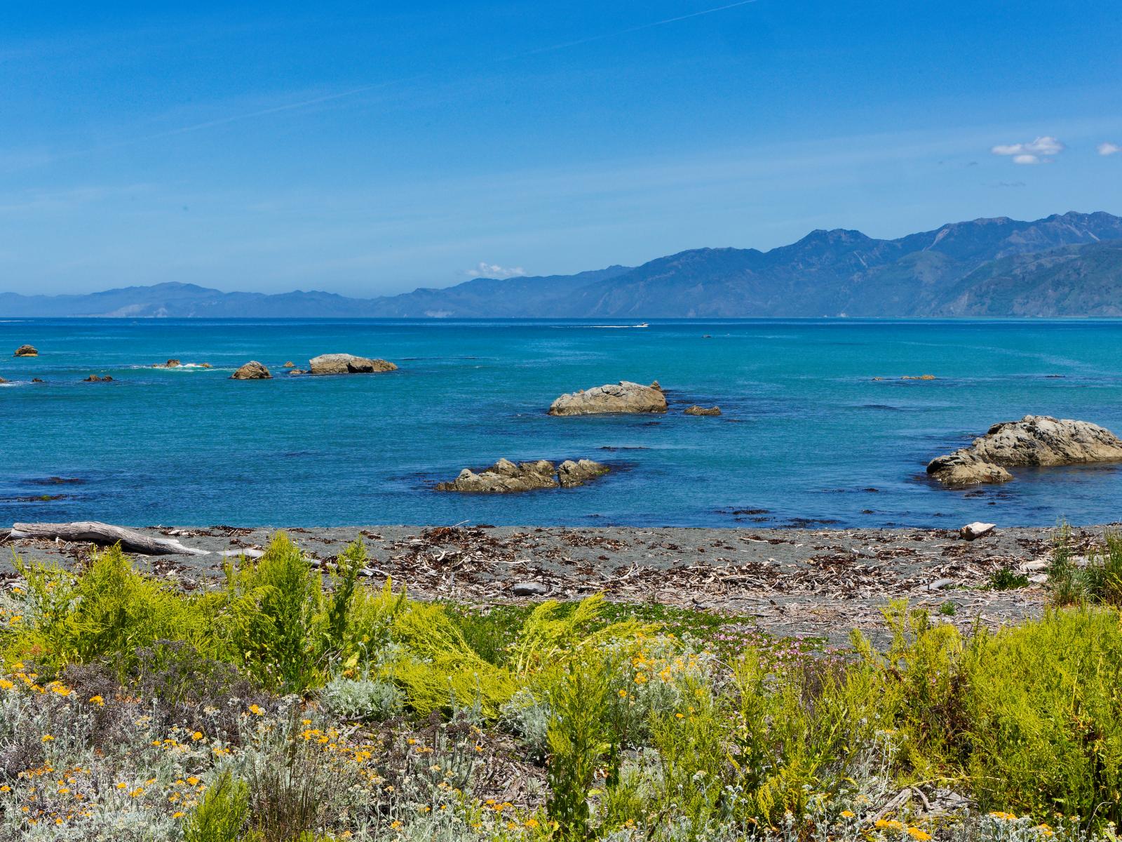 19 South Bay Parade, Kaikoura