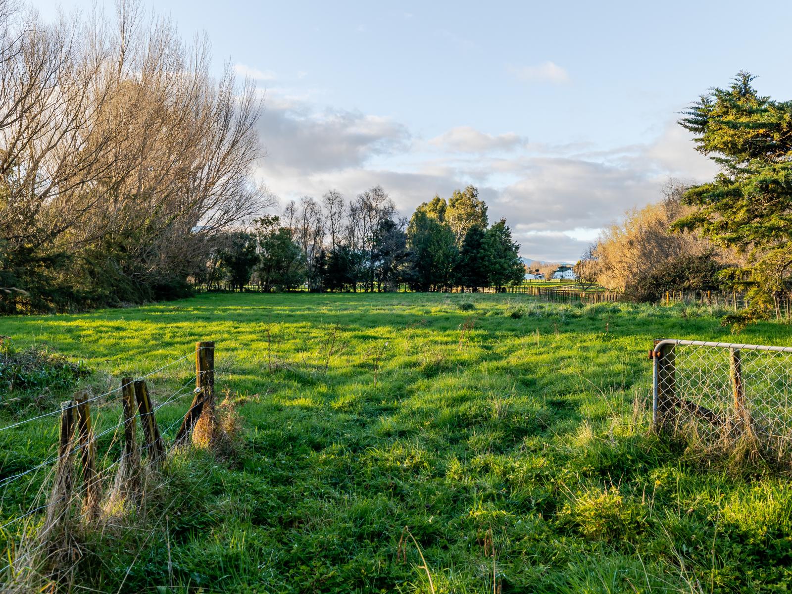 23  Vogel Street, Woodville