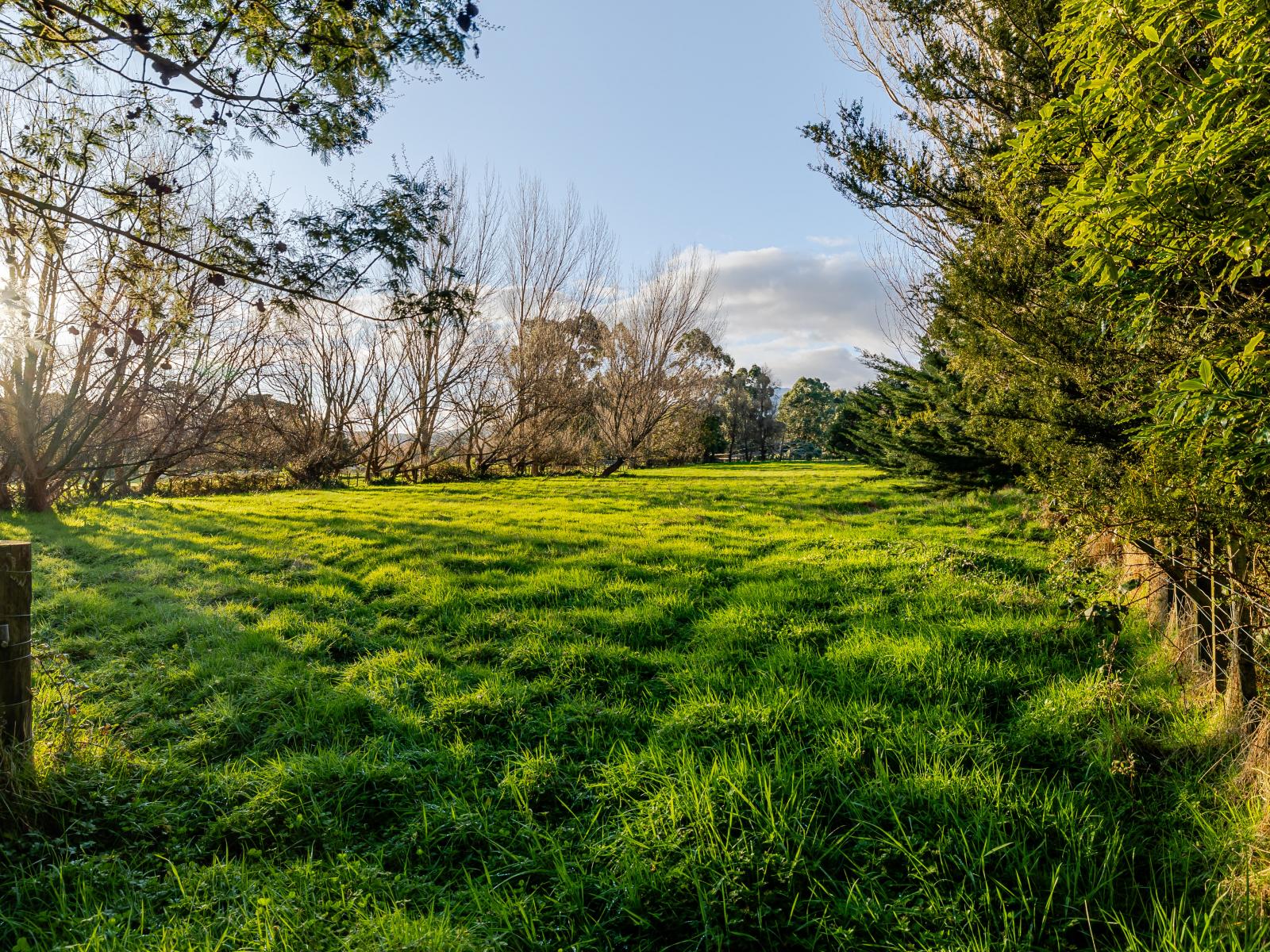 23  Vogel Street, Woodville