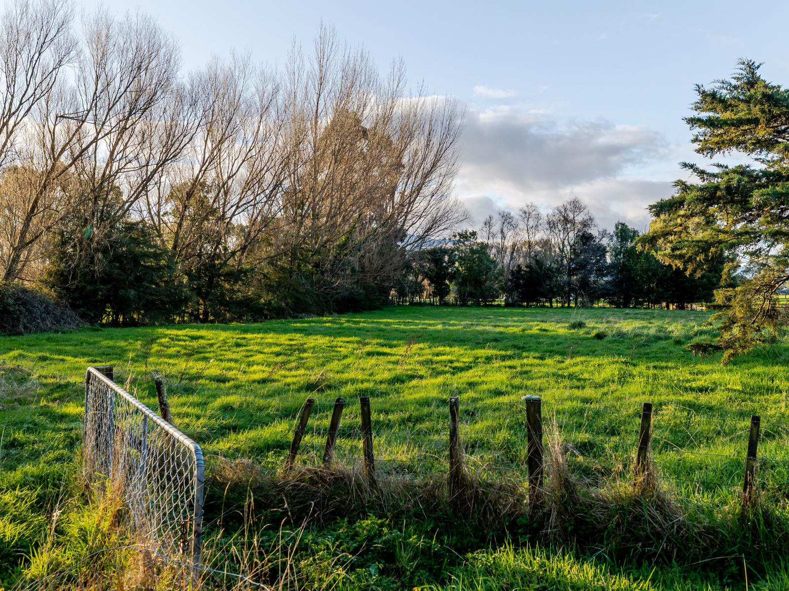 23  Vogel Street, Woodville