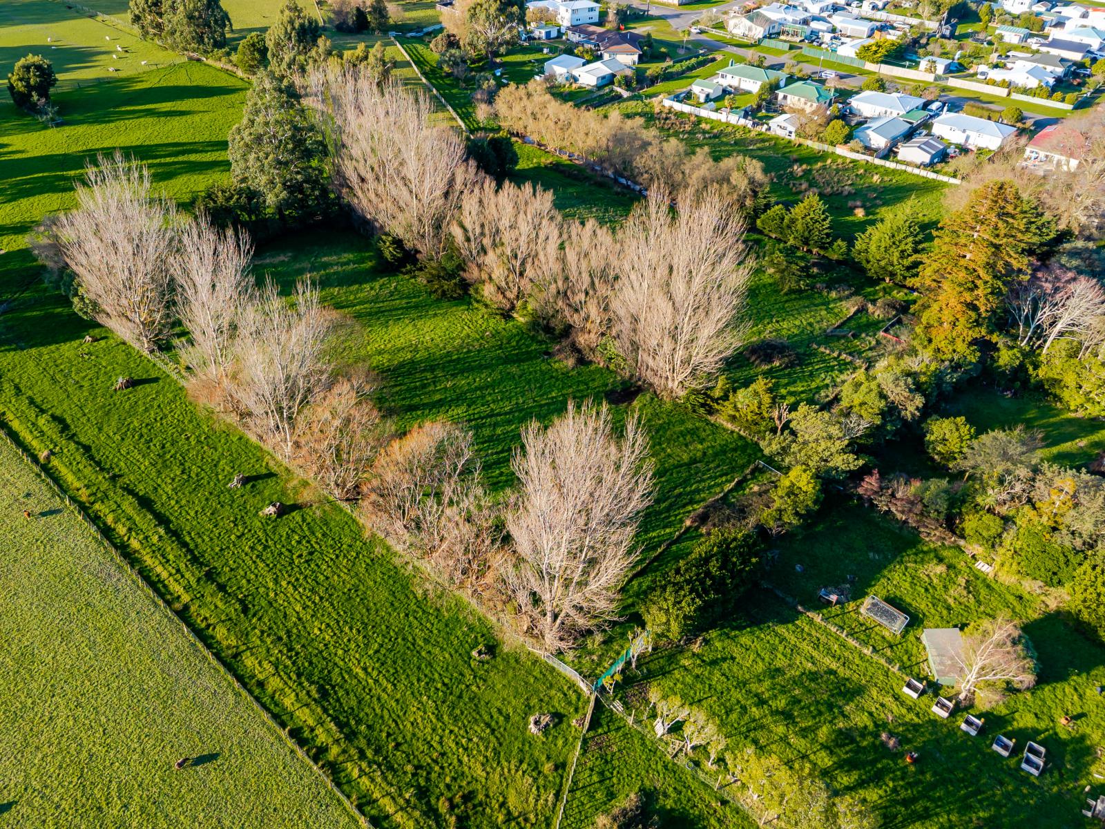23  Vogel Street, Woodville