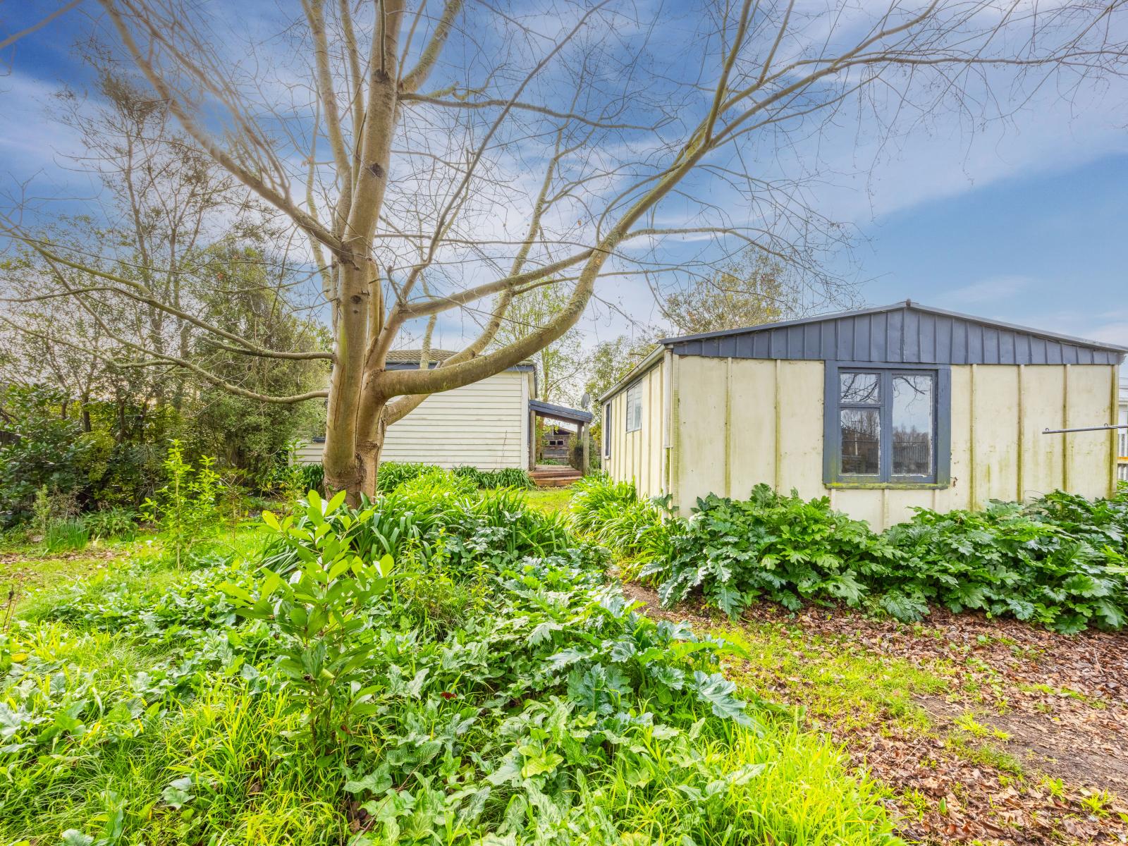 7 Guy Street, Waipawa
