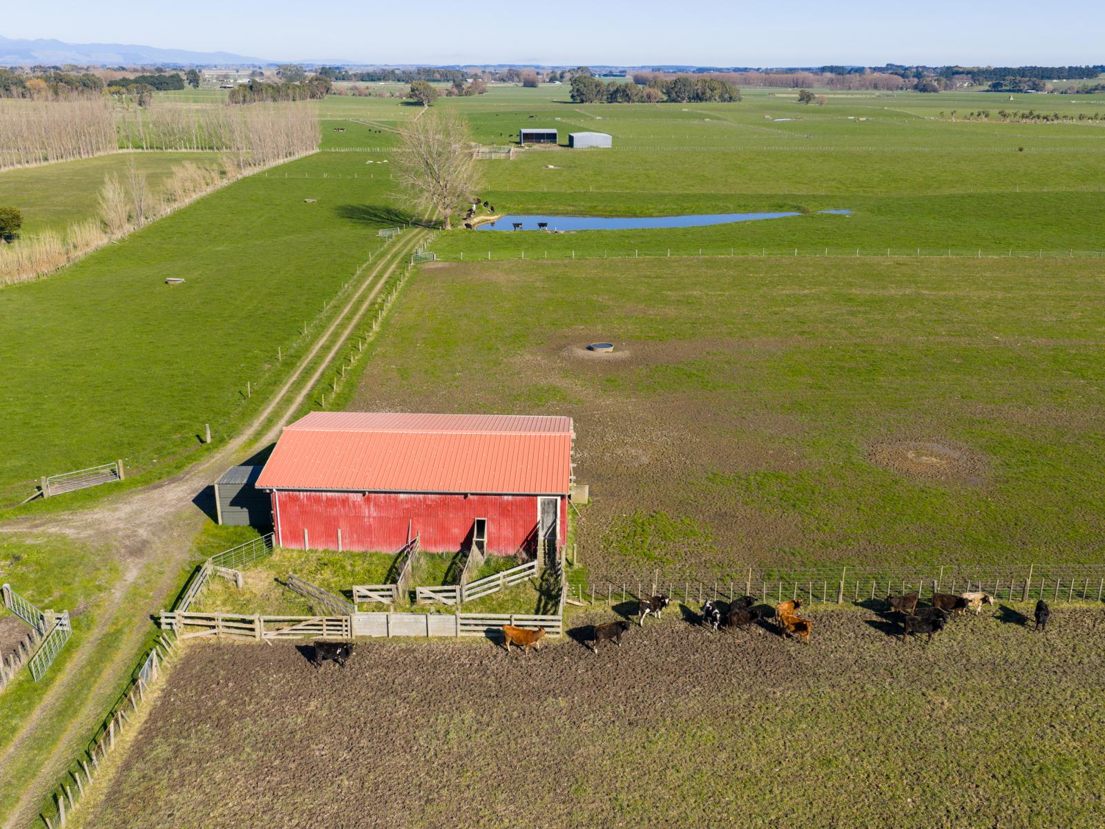 18 Green Road, Awahuri