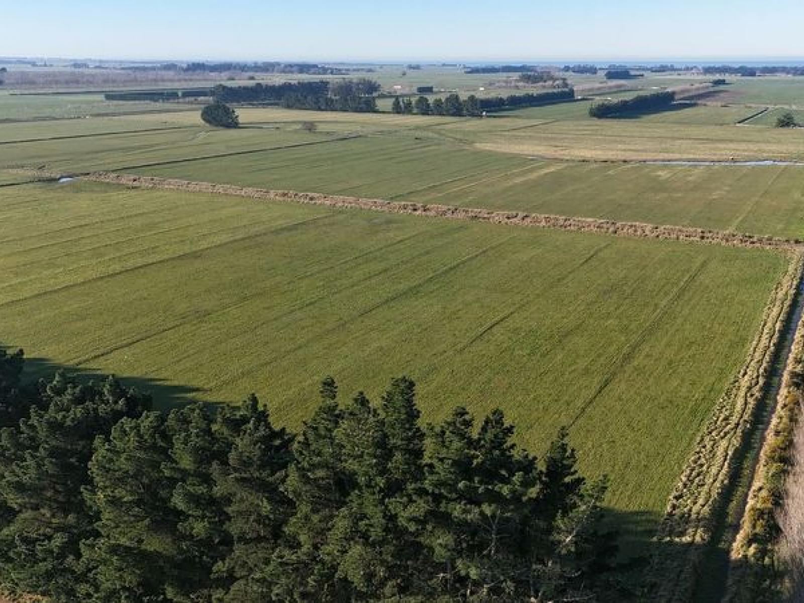 Hilderthorpe-Pukeuri Road, Oamaru