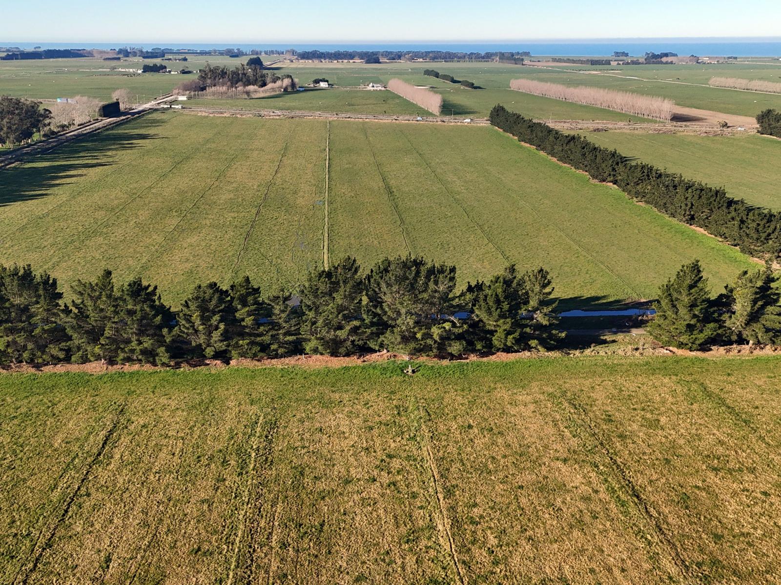 Hilderthorpe-Pukeuri Road, Oamaru