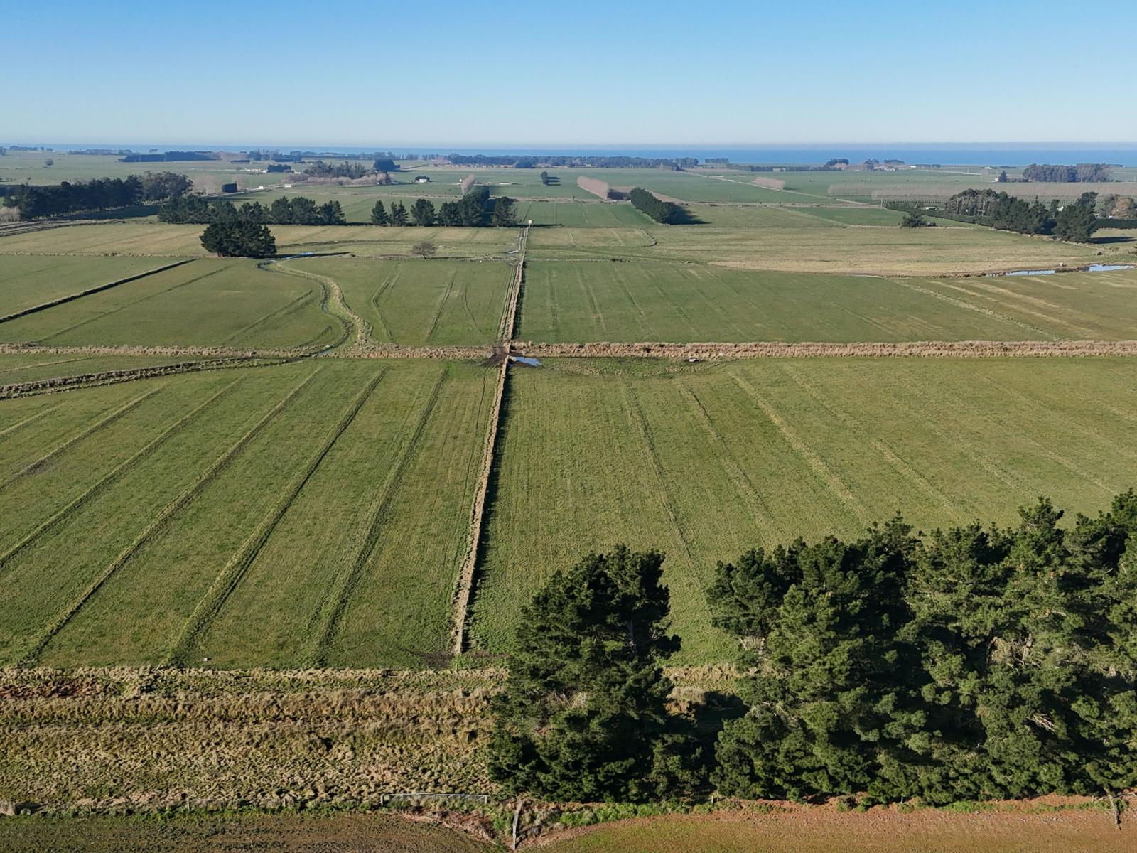 Hilderthorpe-Pukeuri Road, Oamaru