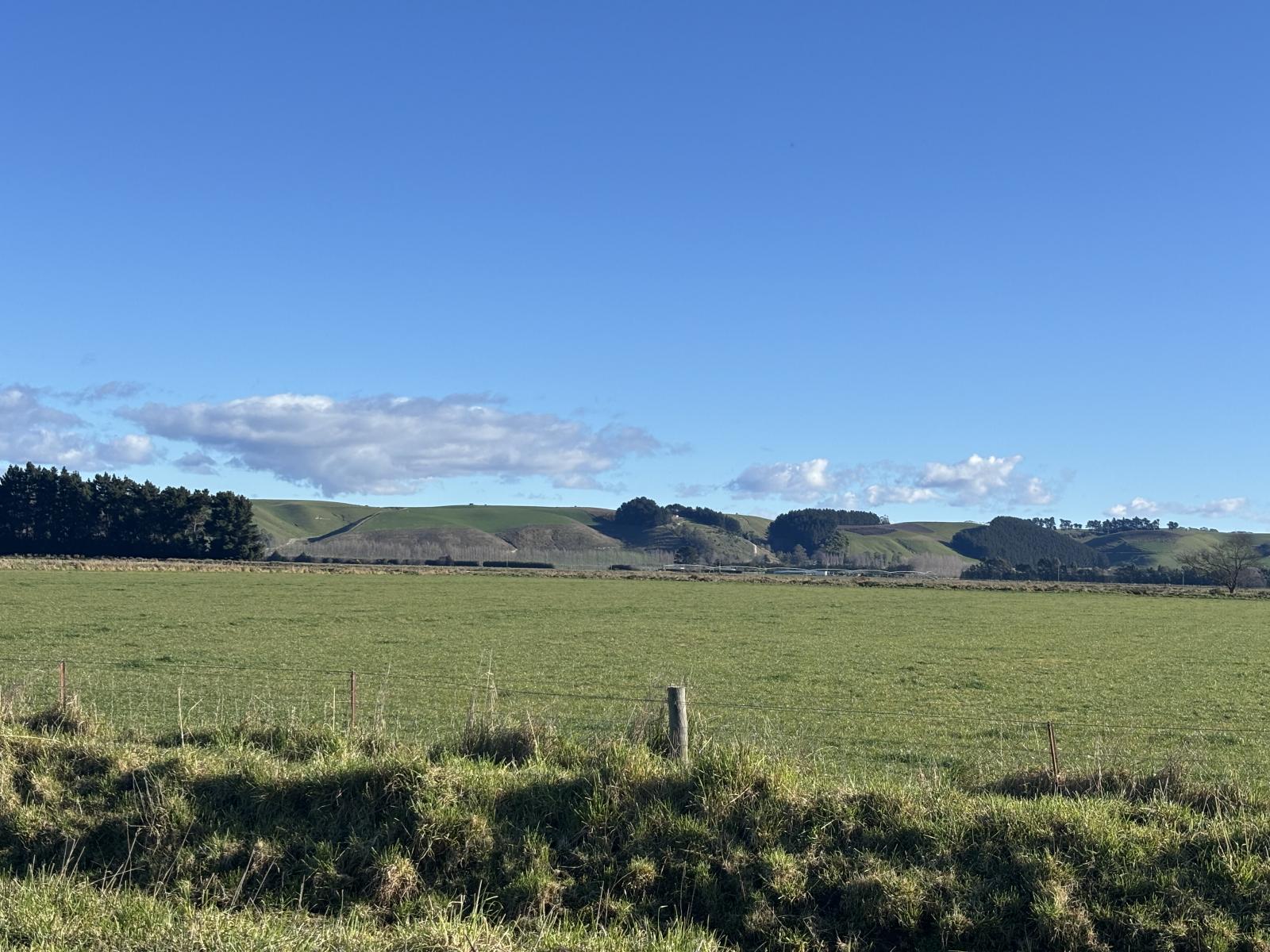 Hilderthorpe-Pukeuri Road, Oamaru