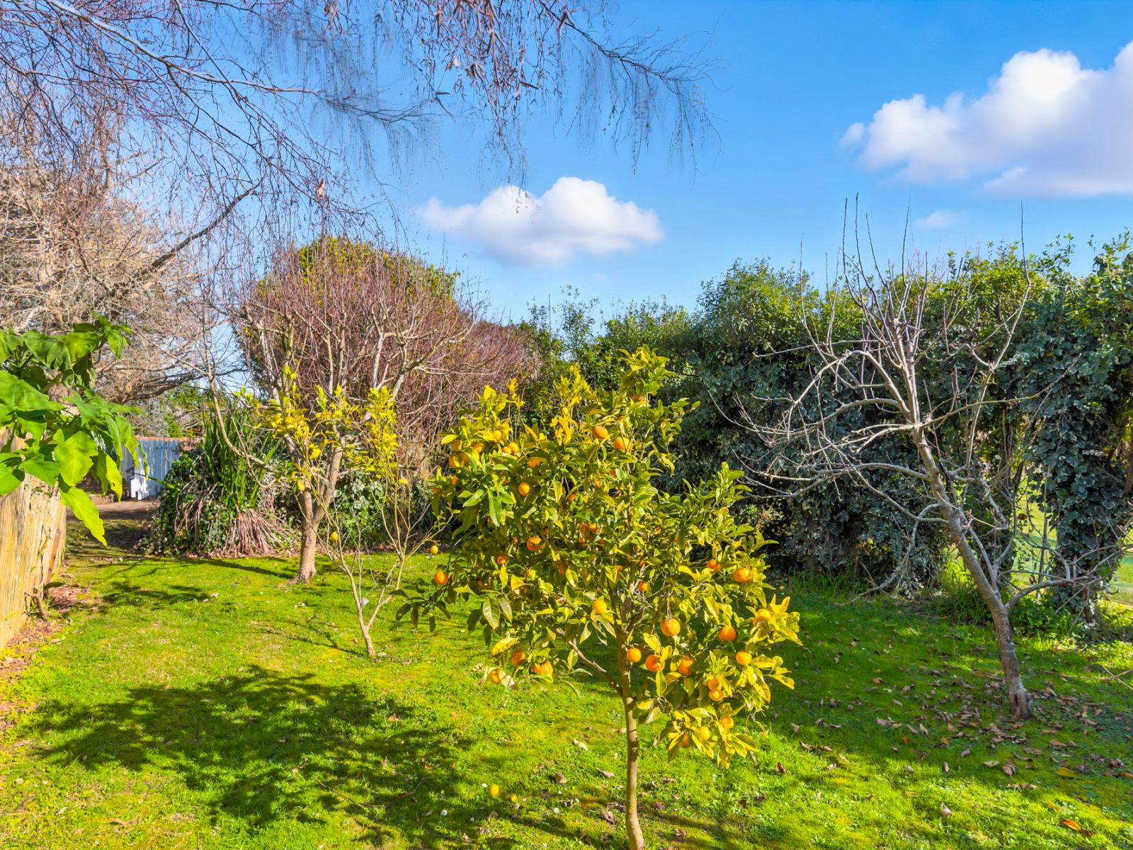 208 Kukutauaki Road, Koputaroa