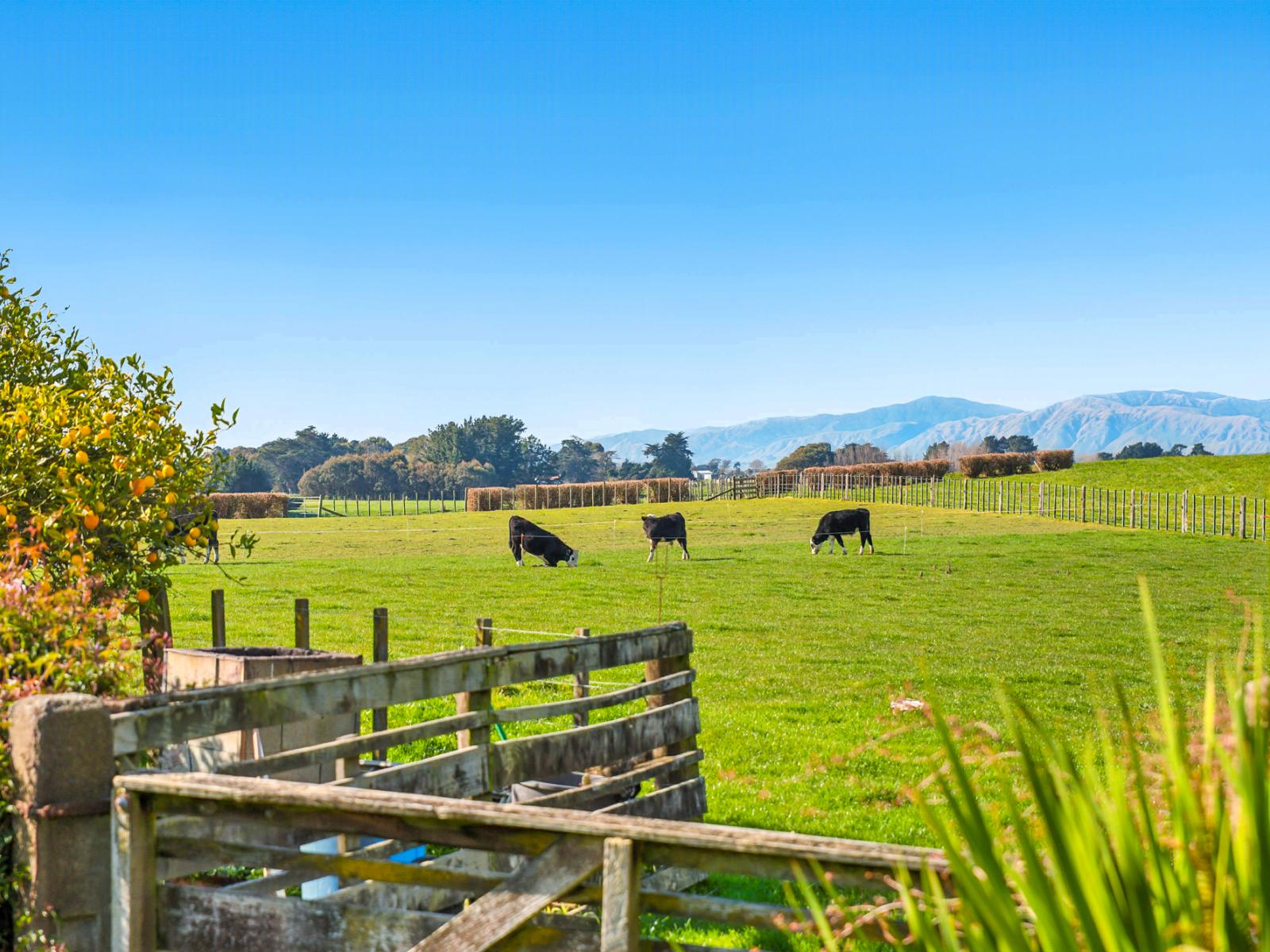 208 Kukutauaki Road, Koputaroa