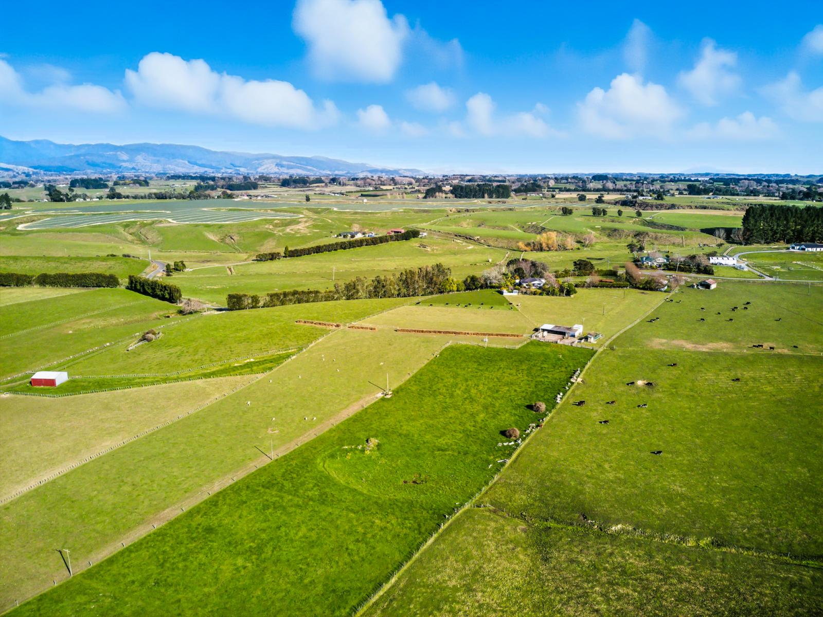 208 Kukutauaki Road, Koputaroa