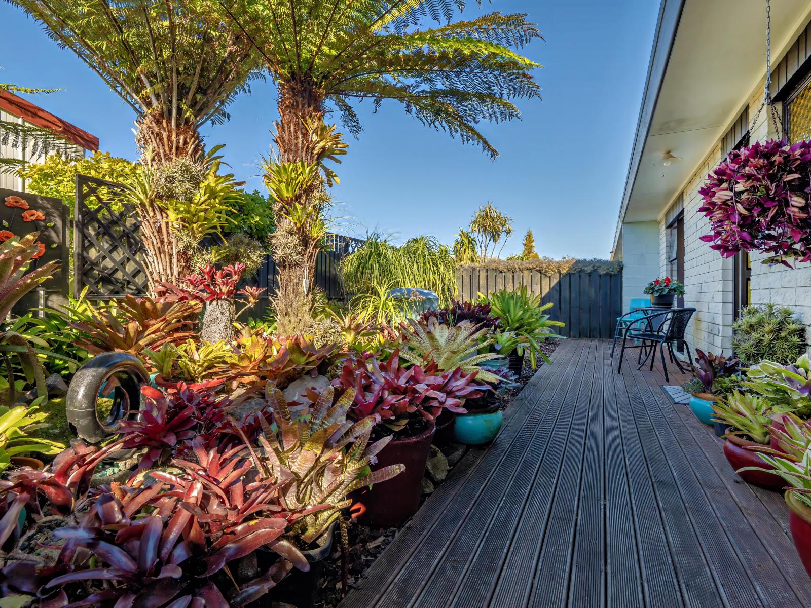 12B Hikurangi Street, Whakatane