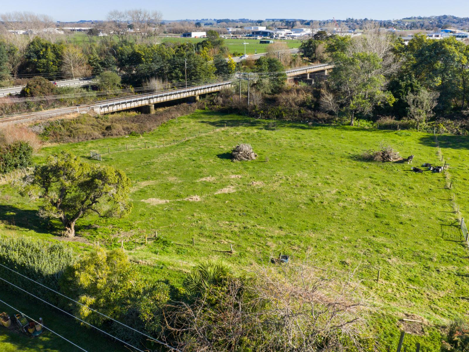 7 Campbell Road, Aorangi