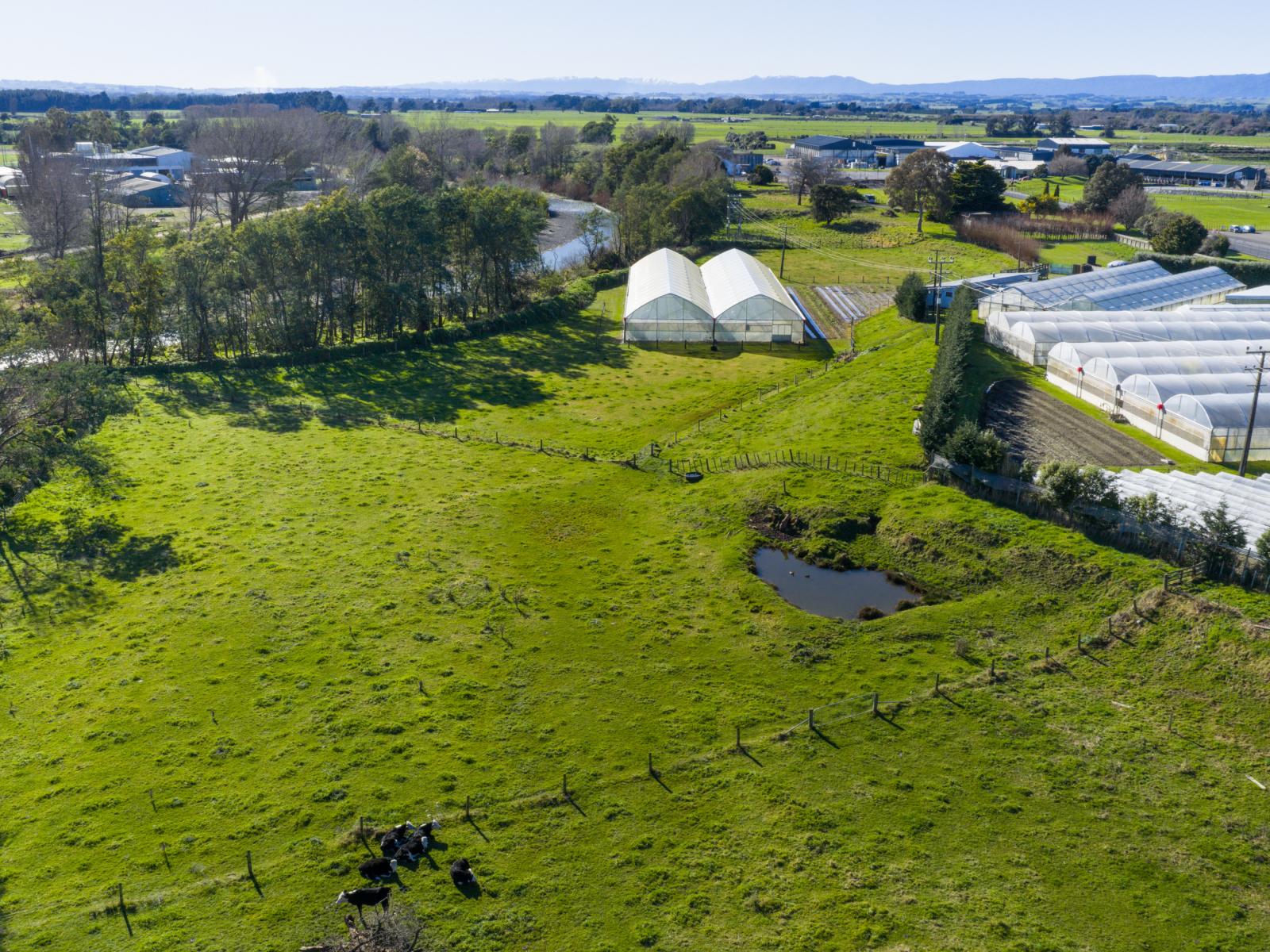 7 Campbell Road, Aorangi