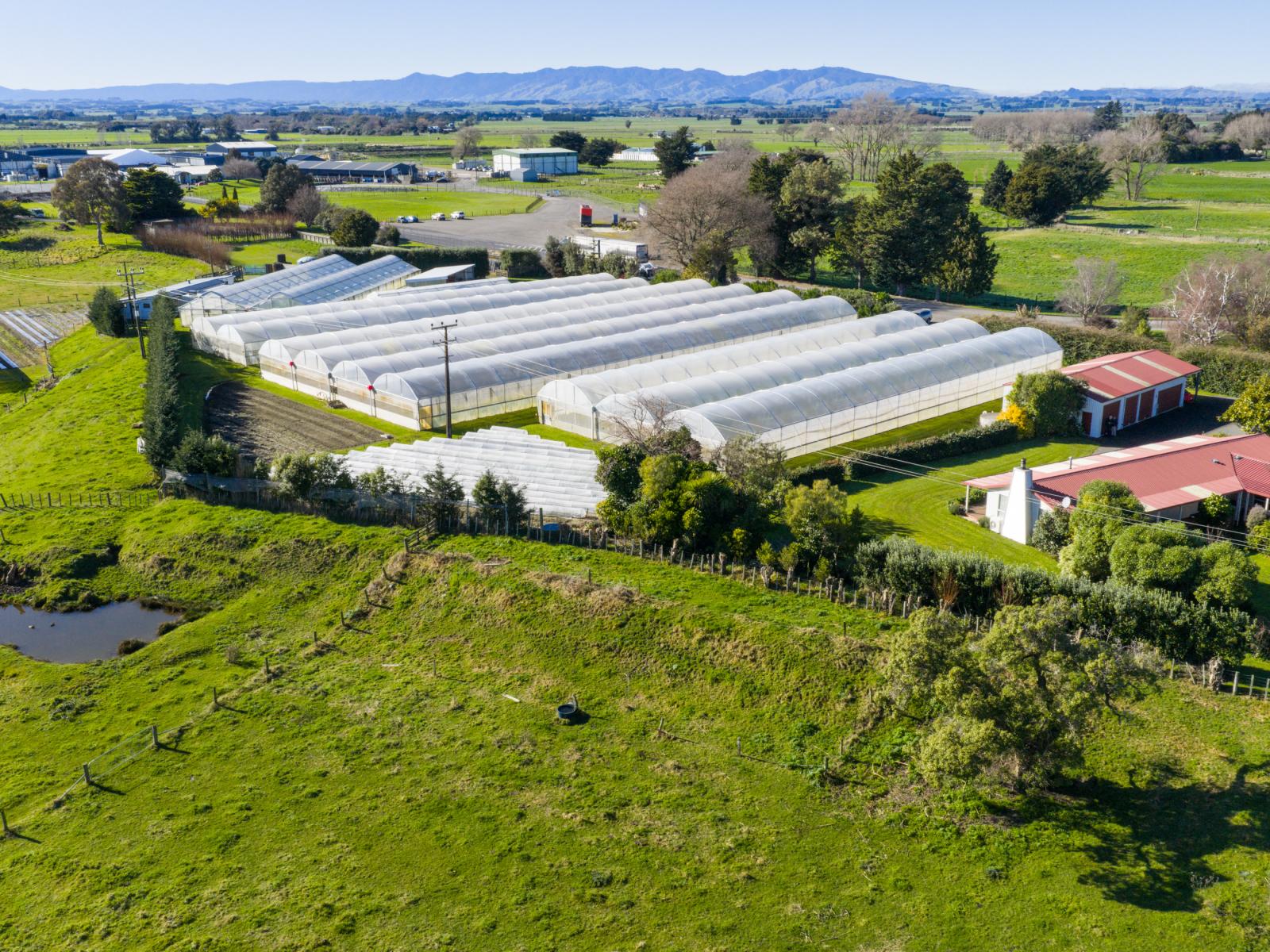 7 Campbell Road, Aorangi