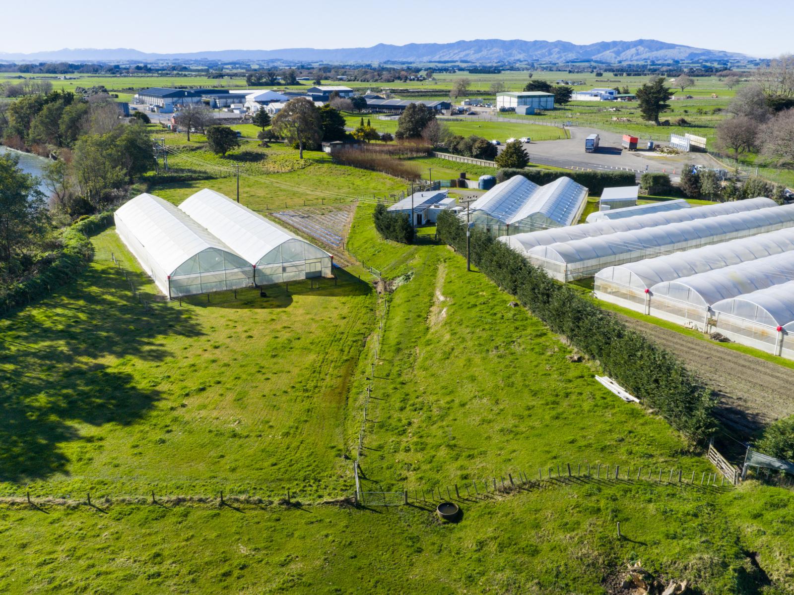7 Campbell Road, Aorangi