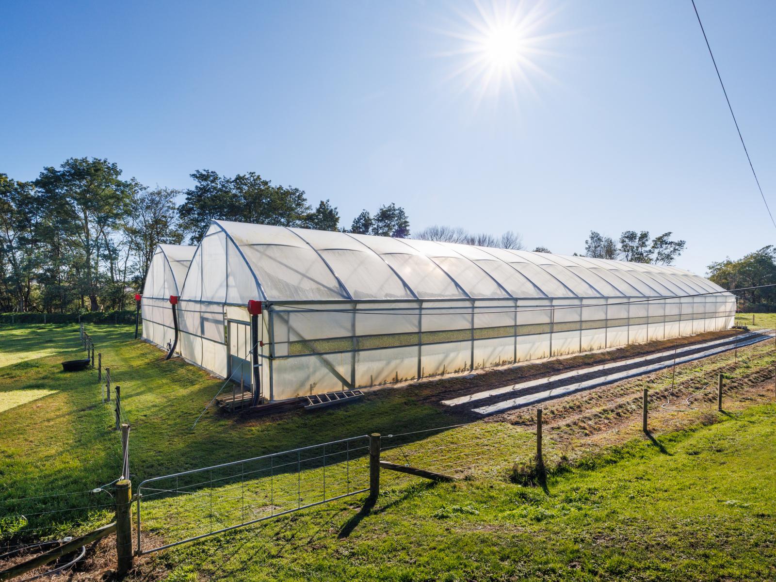7 Campbell Road, Aorangi