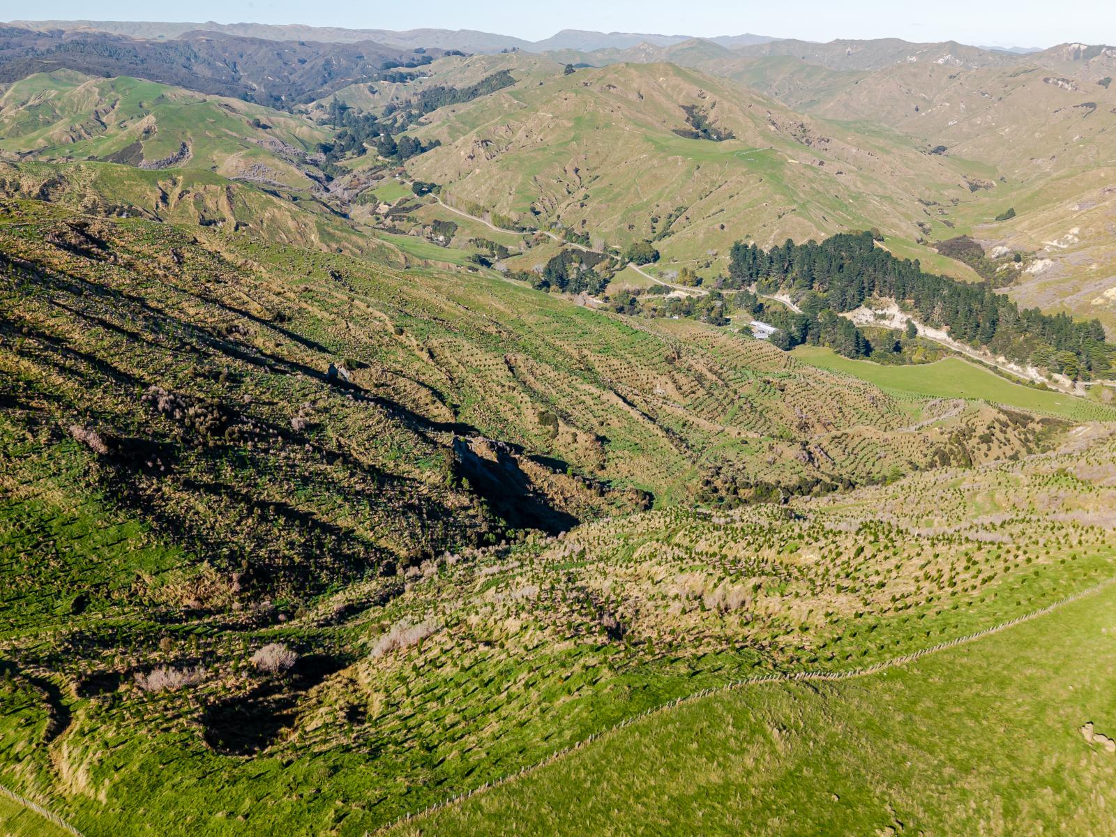 Pahiatua