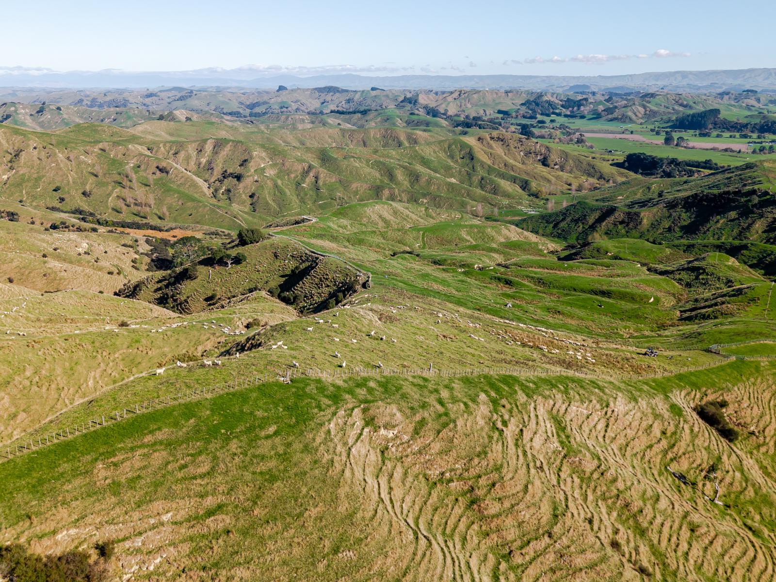 Pahiatua