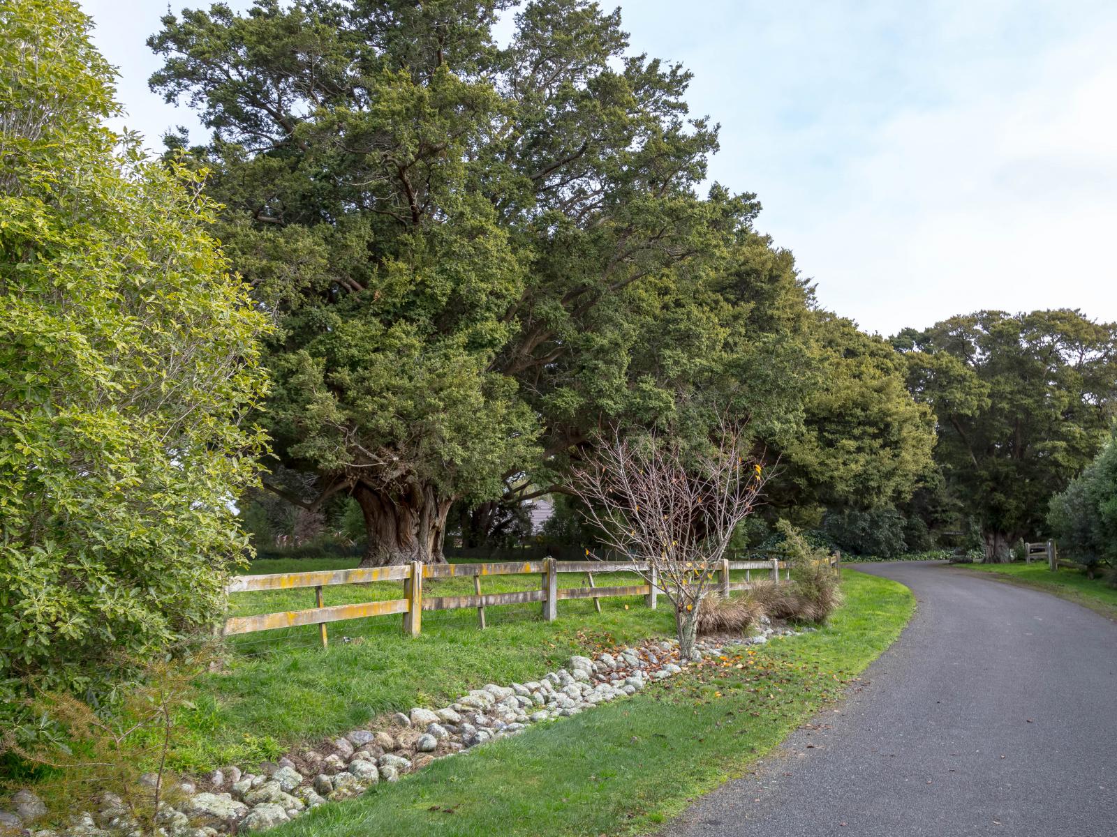 64 Montys Lane, Woodside