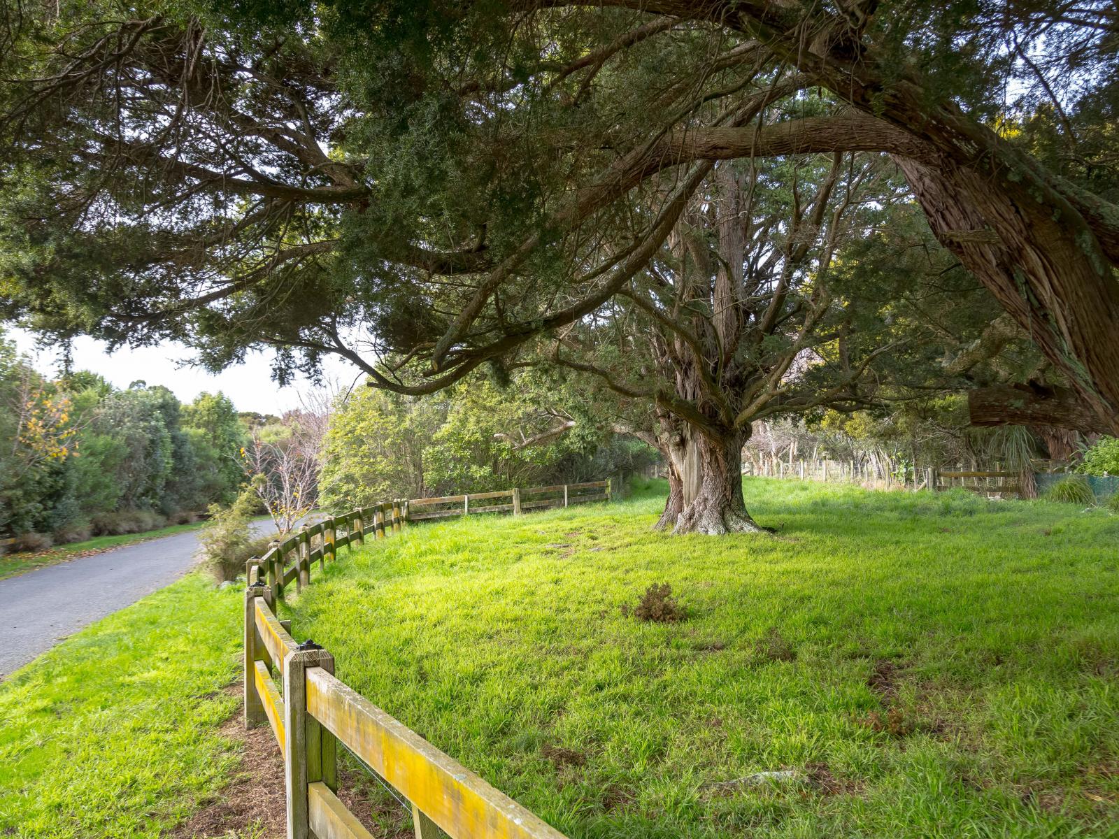 64 Montys Lane, Woodside