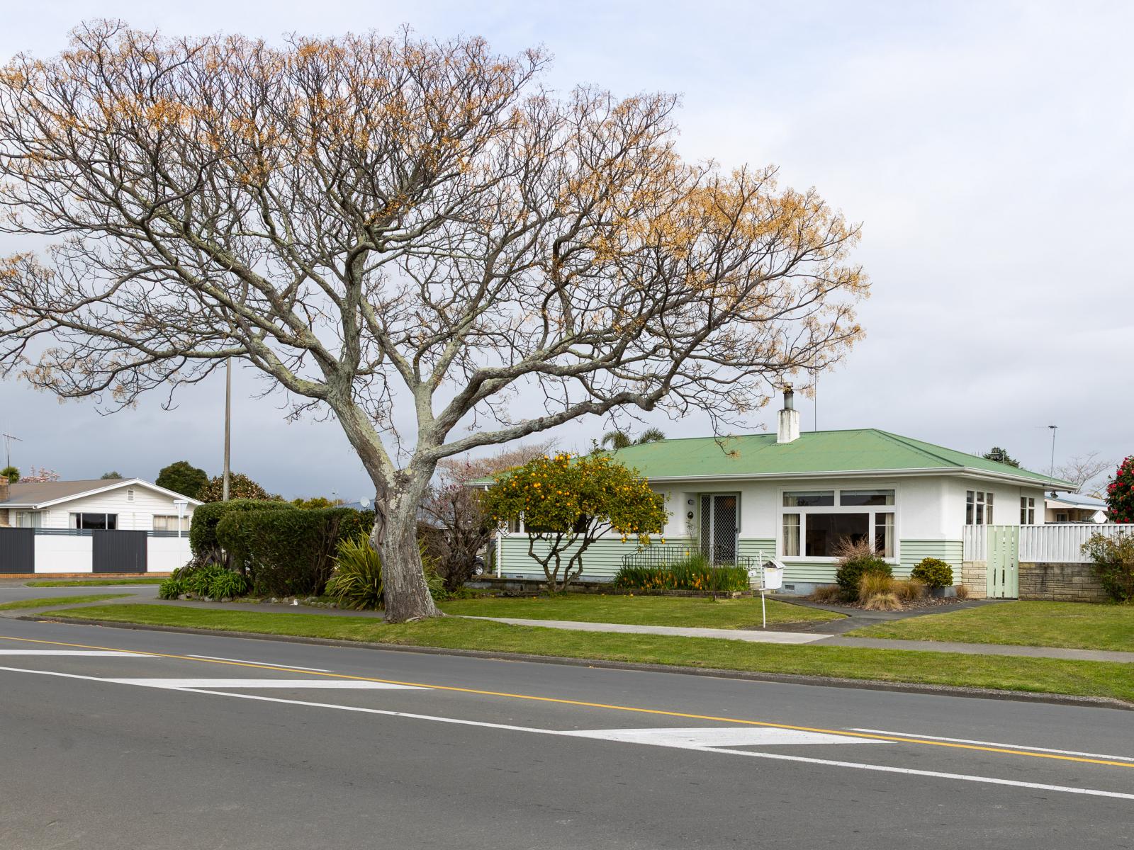 3 Wycliffe Street, Onekawa