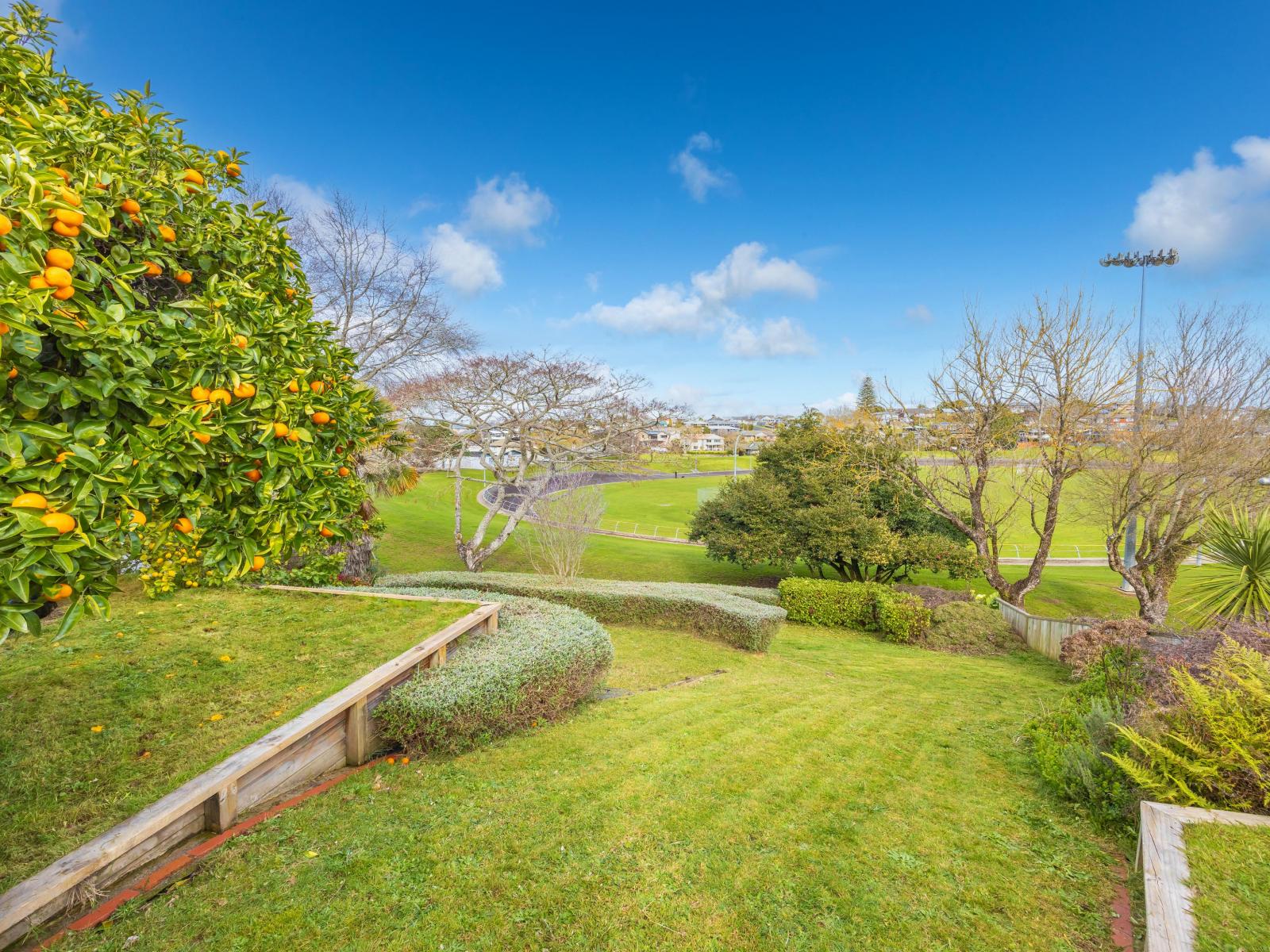 263 Douglas Avenue, Te Awamutu