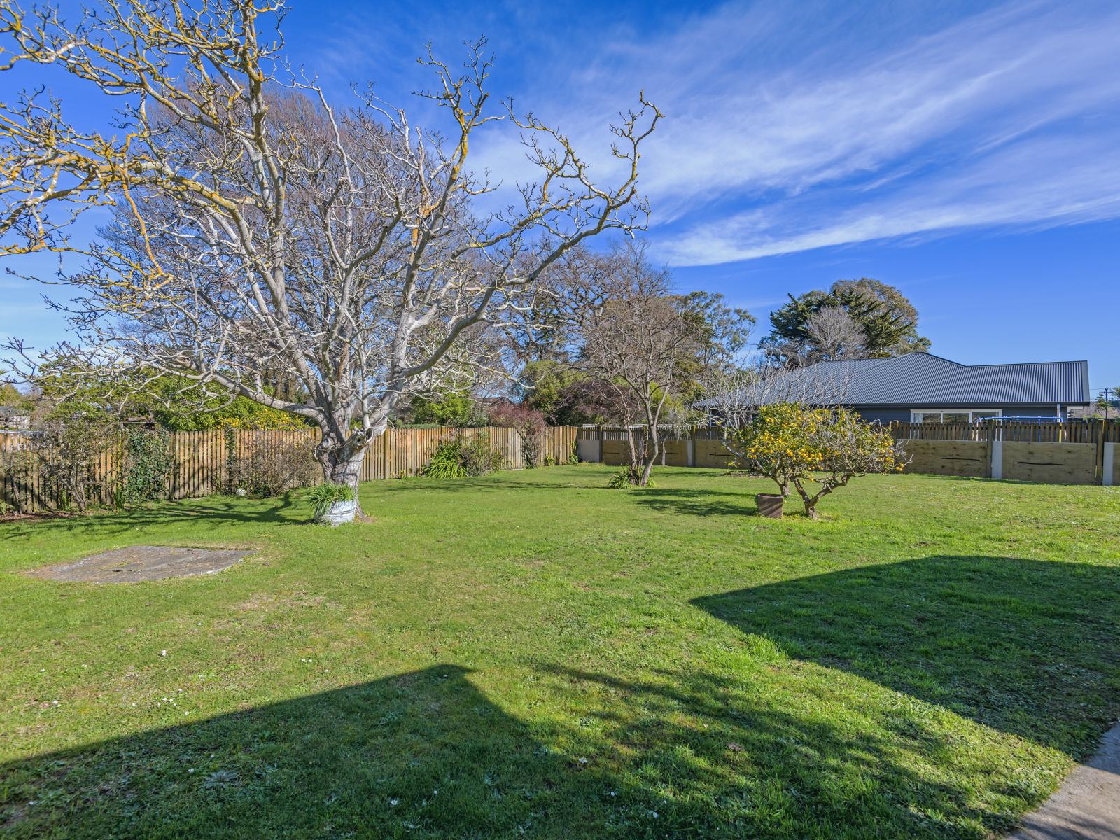 33 Daniell Street, Bulls