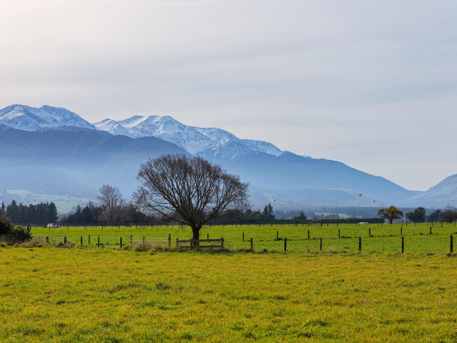 208 Red Swamp Road, Kaikoura