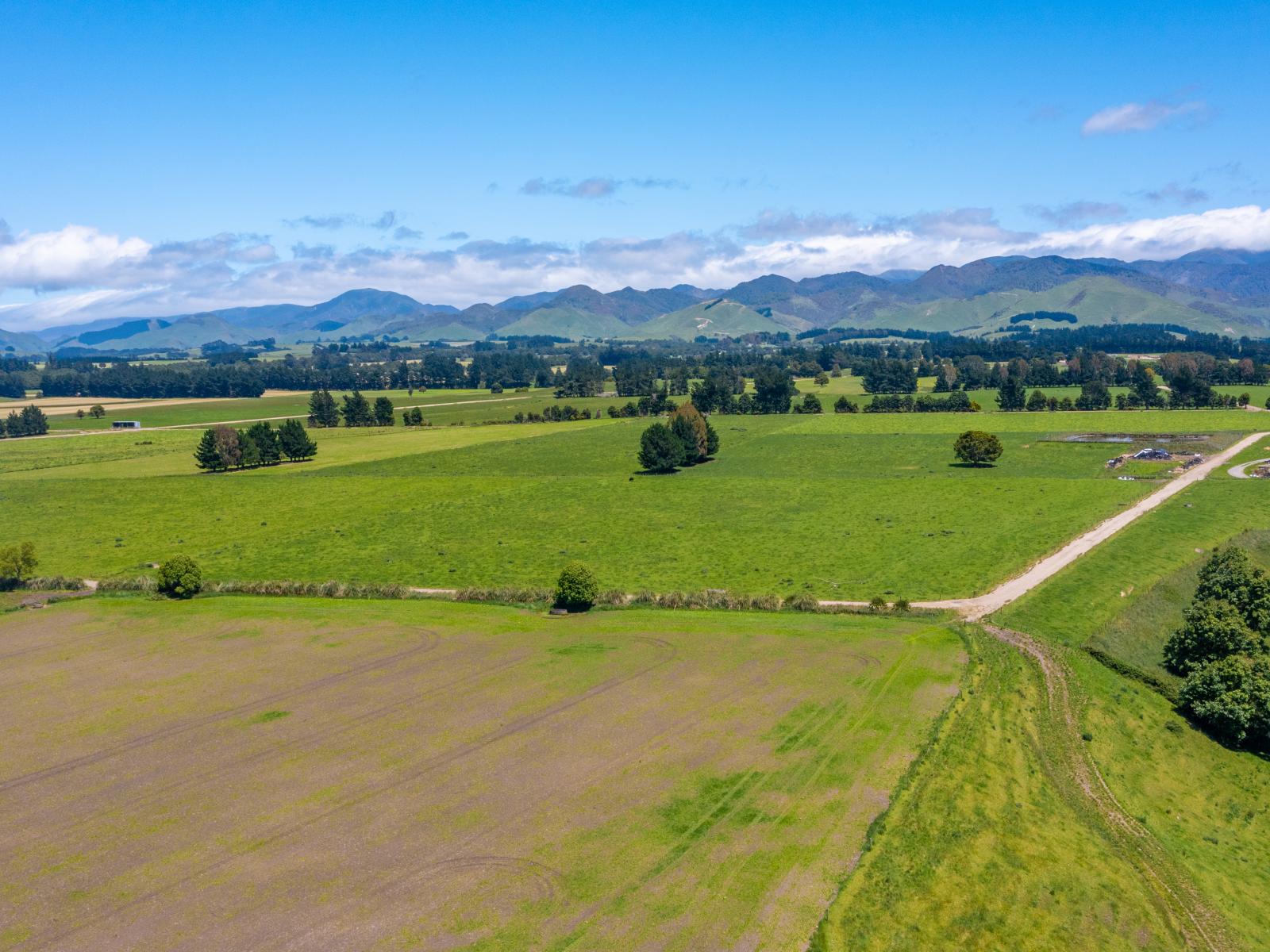 375 Snee Road, Takapau