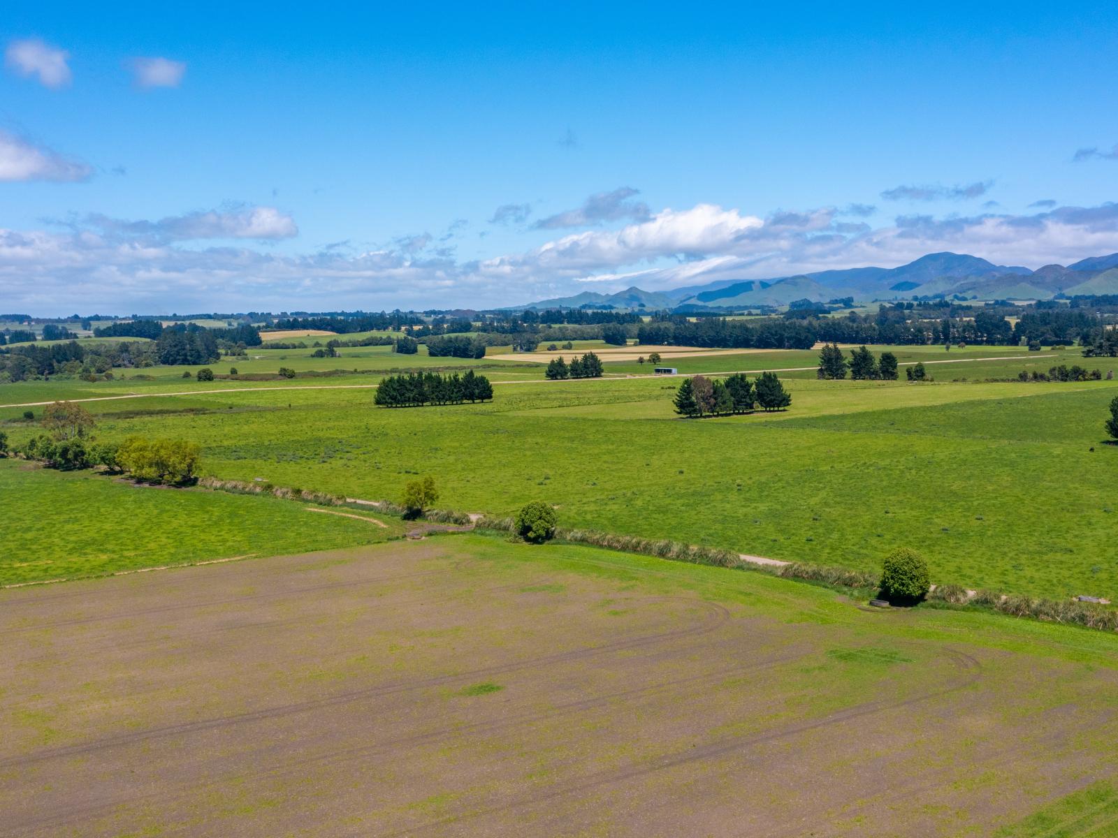 375 Snee Road, Takapau