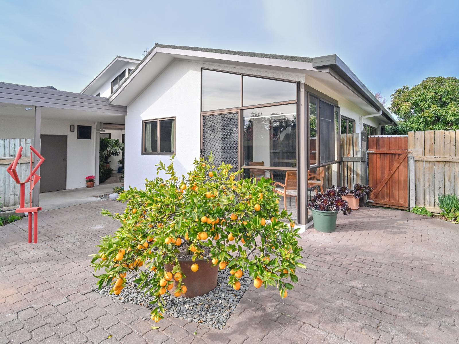 17 Donegal Crescent, Tamatea