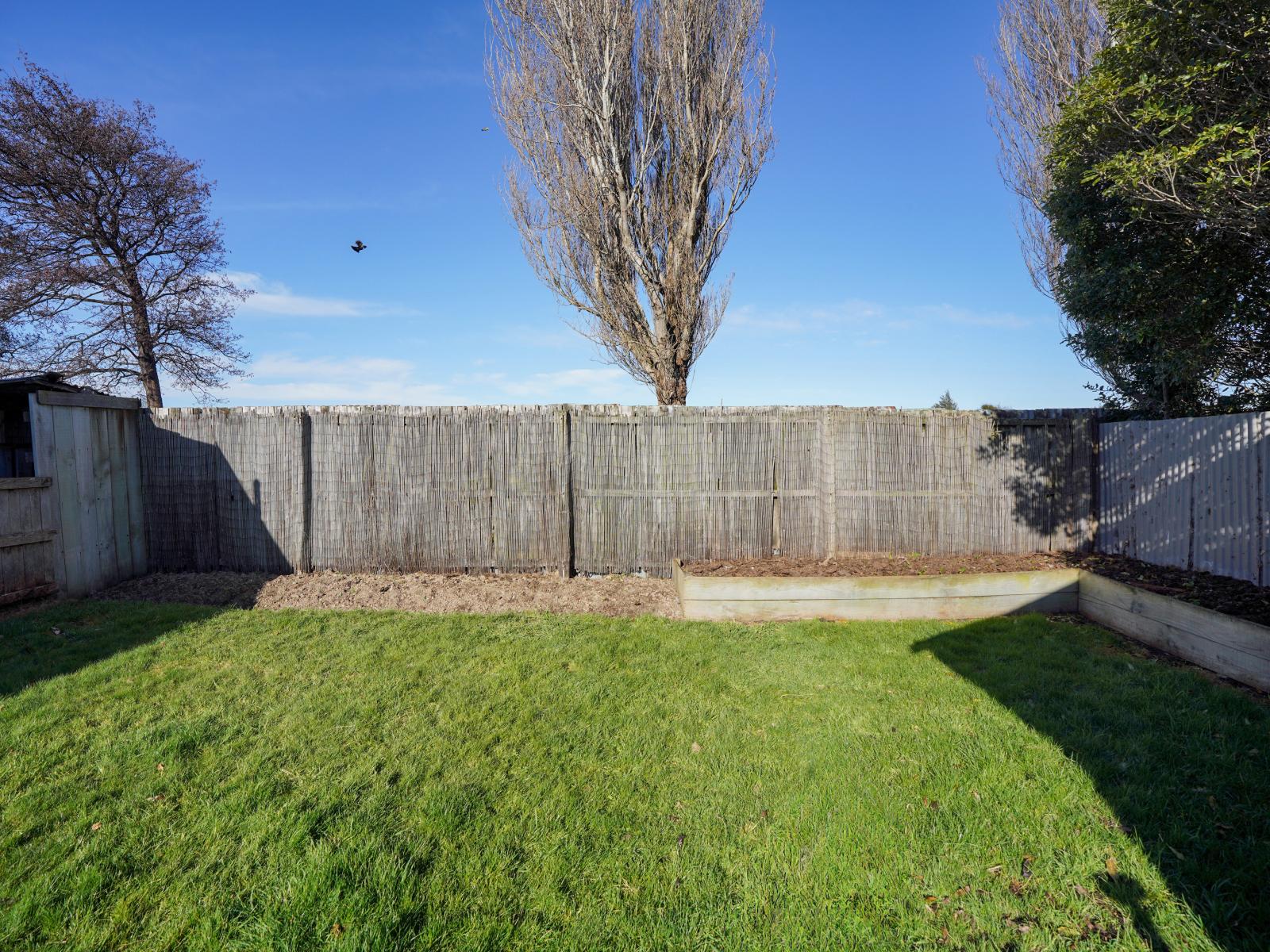529 Herbert Street, Waverley
