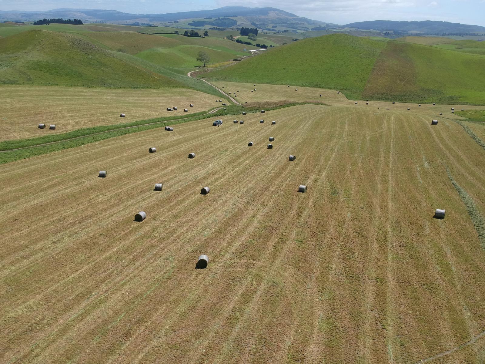 112 Waikakahi Valley Road, Waimate