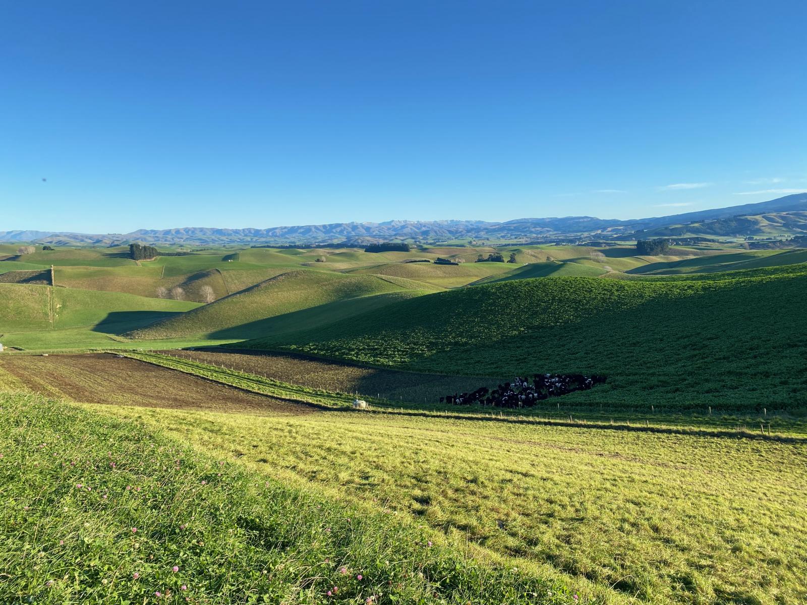 112 Waikakahi Valley Road, Waimate