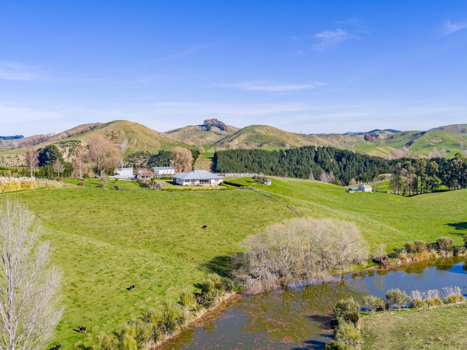 338 Te Awa Road, Waipukurau