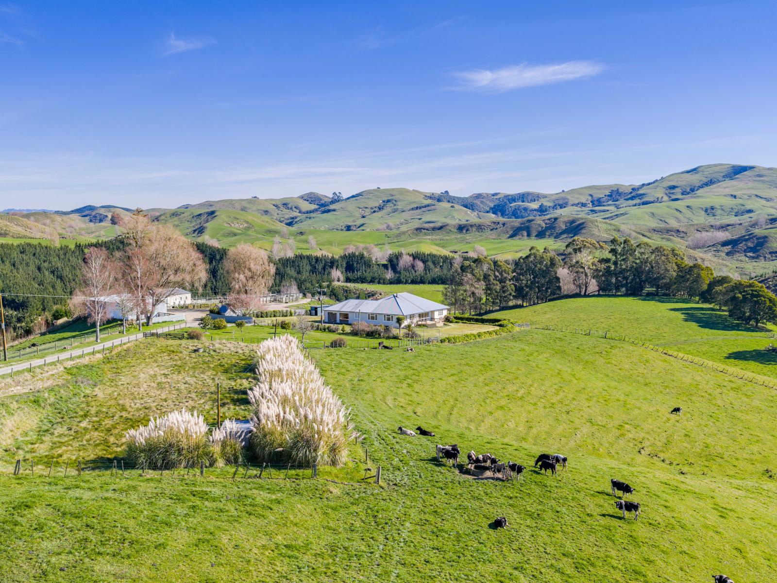 338 Te Awa Road, Waipukurau