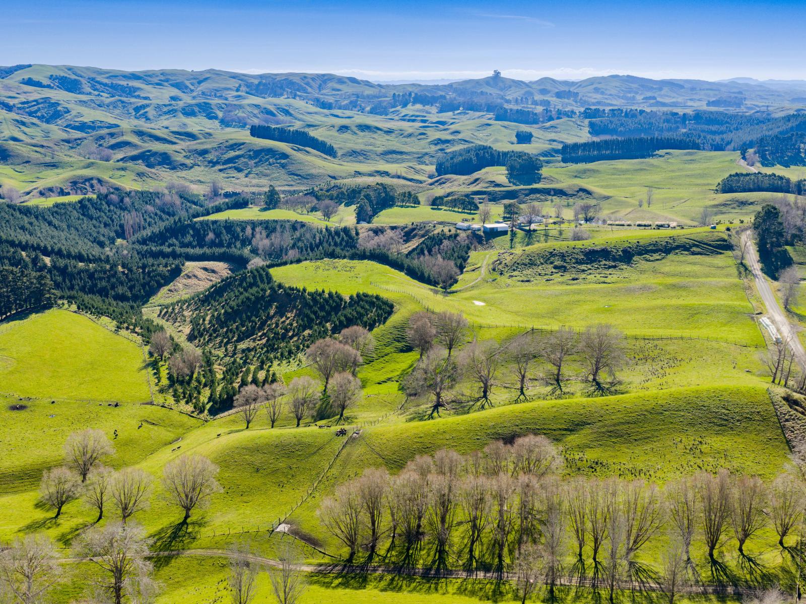 338 Te Awa Road, Waipukurau