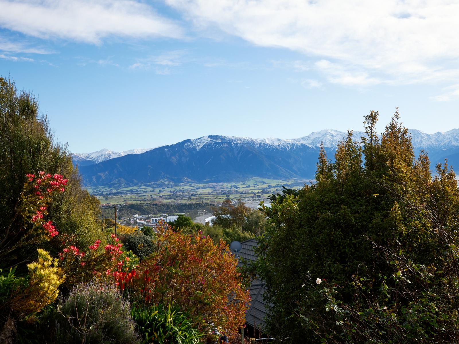 278 Scarborough Street, Kaikoura
